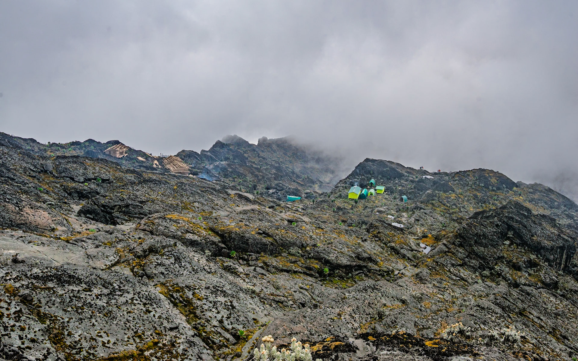 | Day 4. Bujuku Hut (3.977 m) - Elena Hut (4,541 m) |  Rwenzori Mountains | Uganda |  Rwenzori Mountains | Uganda |