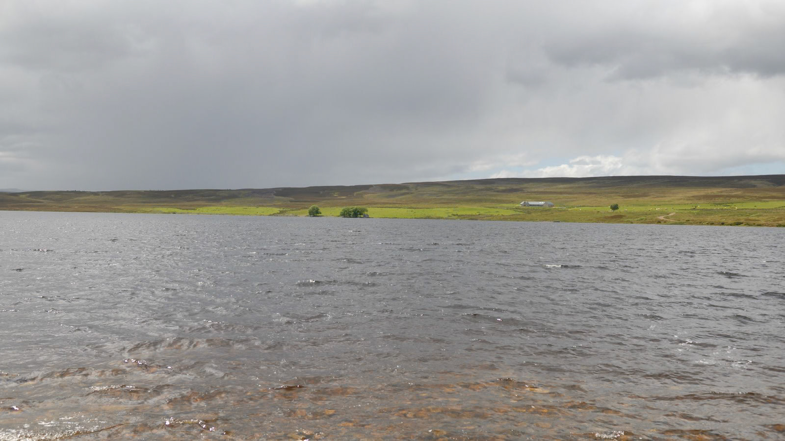 | Cairngorms National Park | Scotland  | United Kingdom |
