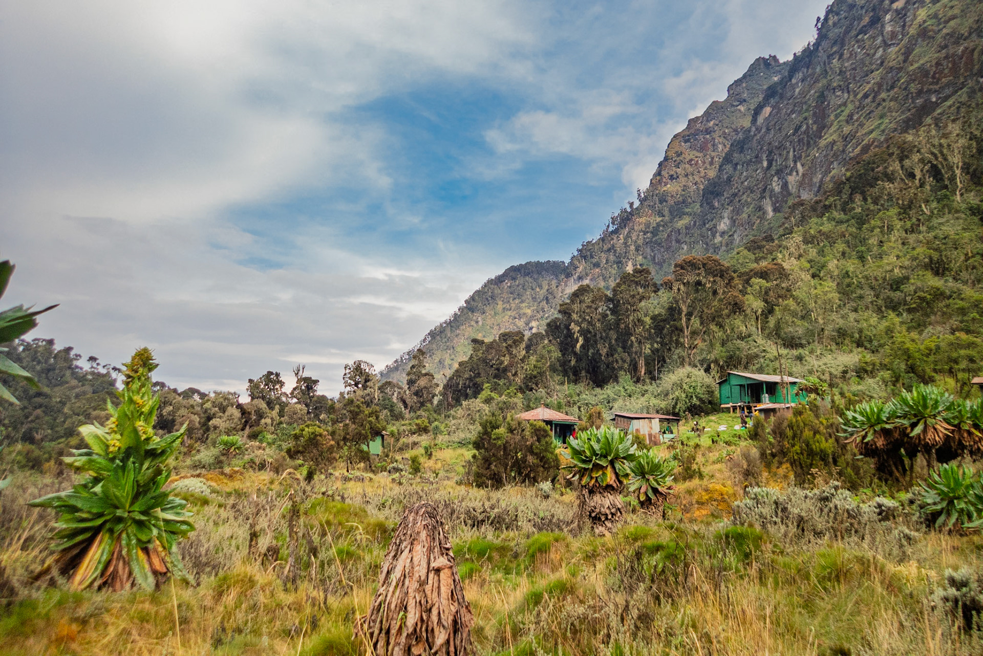| Day 6. Kitandara Hut (4.023 m) - Guy Yeoman (3.505 m) |  Rwenzori Mountains | Uganda |  Rwenzori Mountains | Uganda |