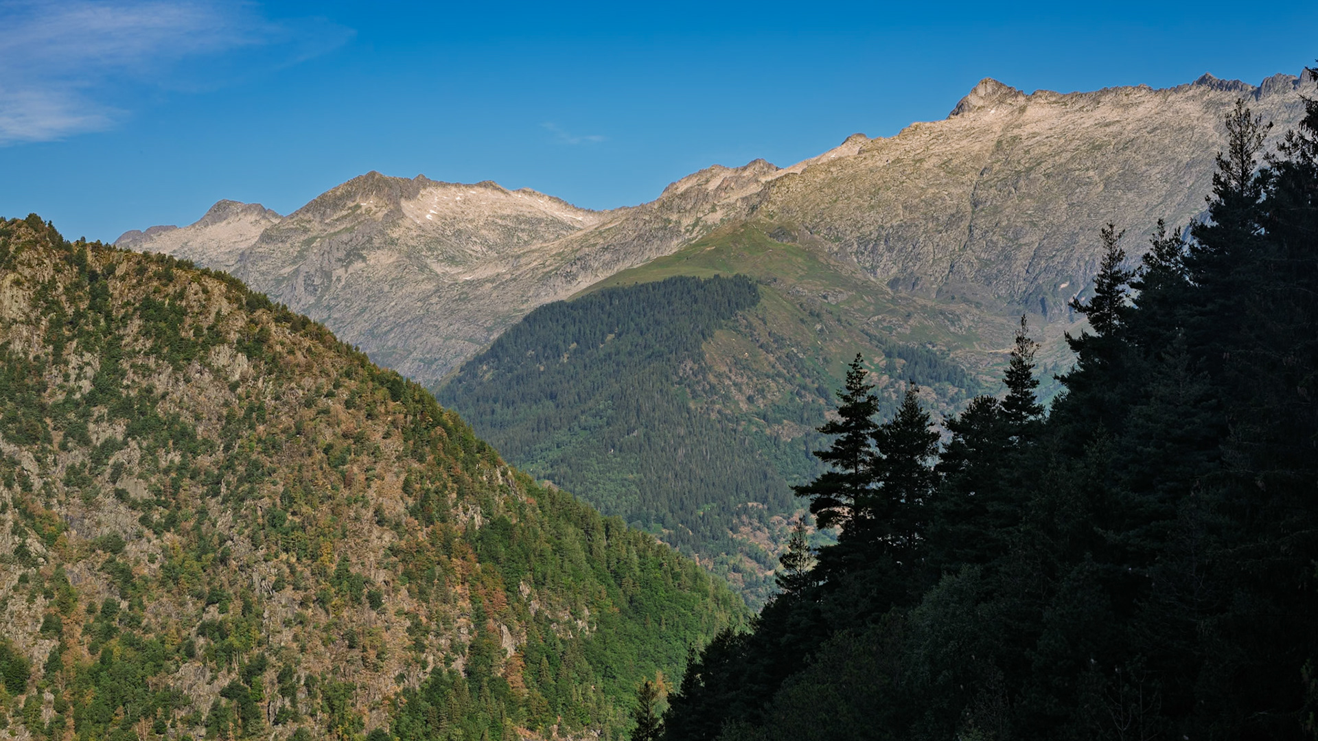 ARP 29. L'Artiga - Refuge de l'Étang Fourcat