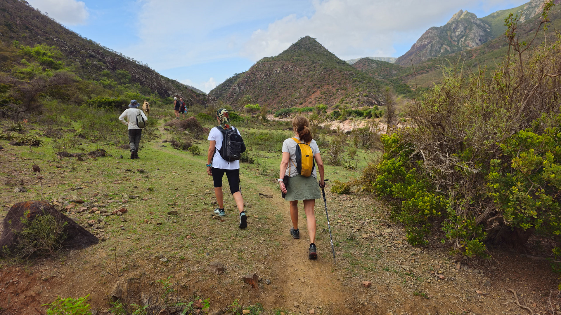 We spend the first day stretch hiking along the  Wadi Dhamdhar