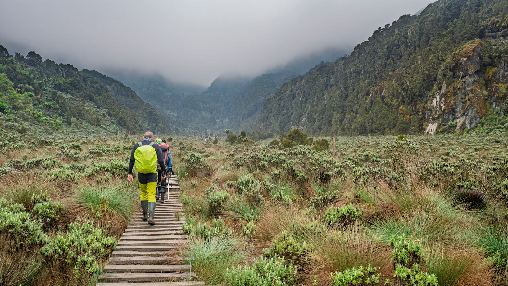 | Day 3. John Matte Hut (3.505 m) - Bujuku Hut (3.977 m) |  Rwenzori Mountains | Uganda | |  Rwenzori Mountains | Uganda |