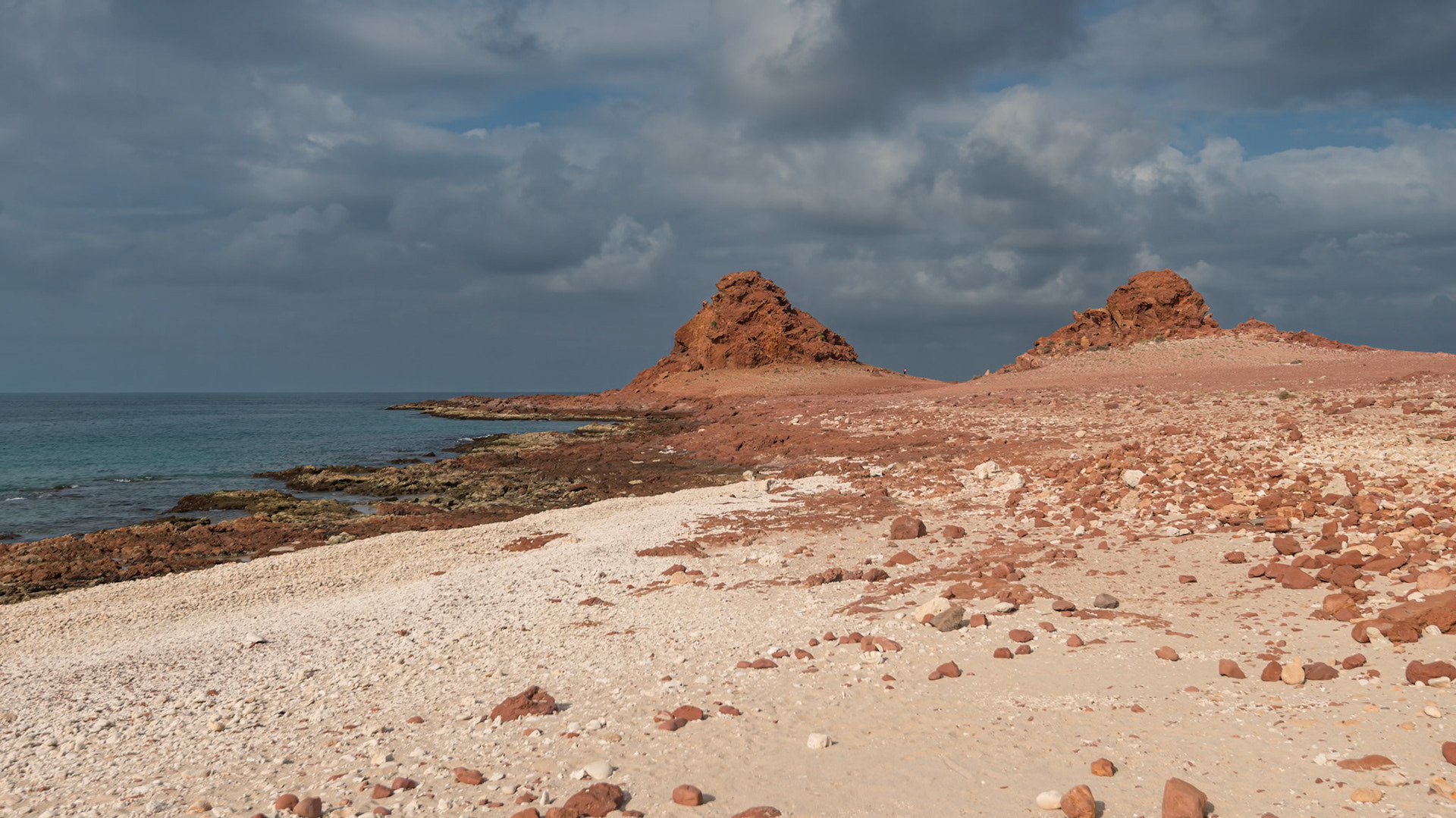Di Hamri Marine Conservation Area is an impressive coral reef full of wildlife!
