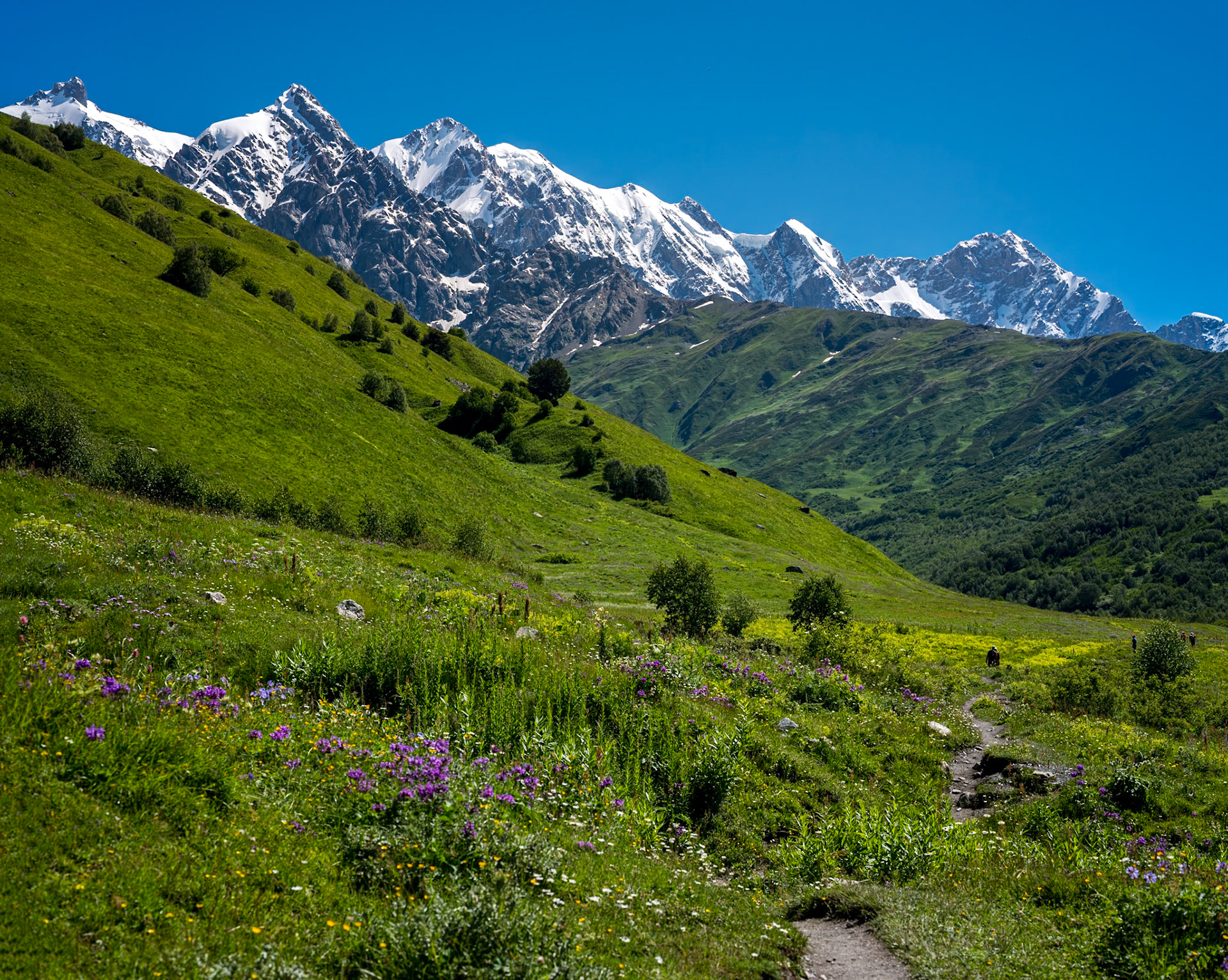 Hiking the Adishichala Valley on the way up to Chkhunderi Pass.