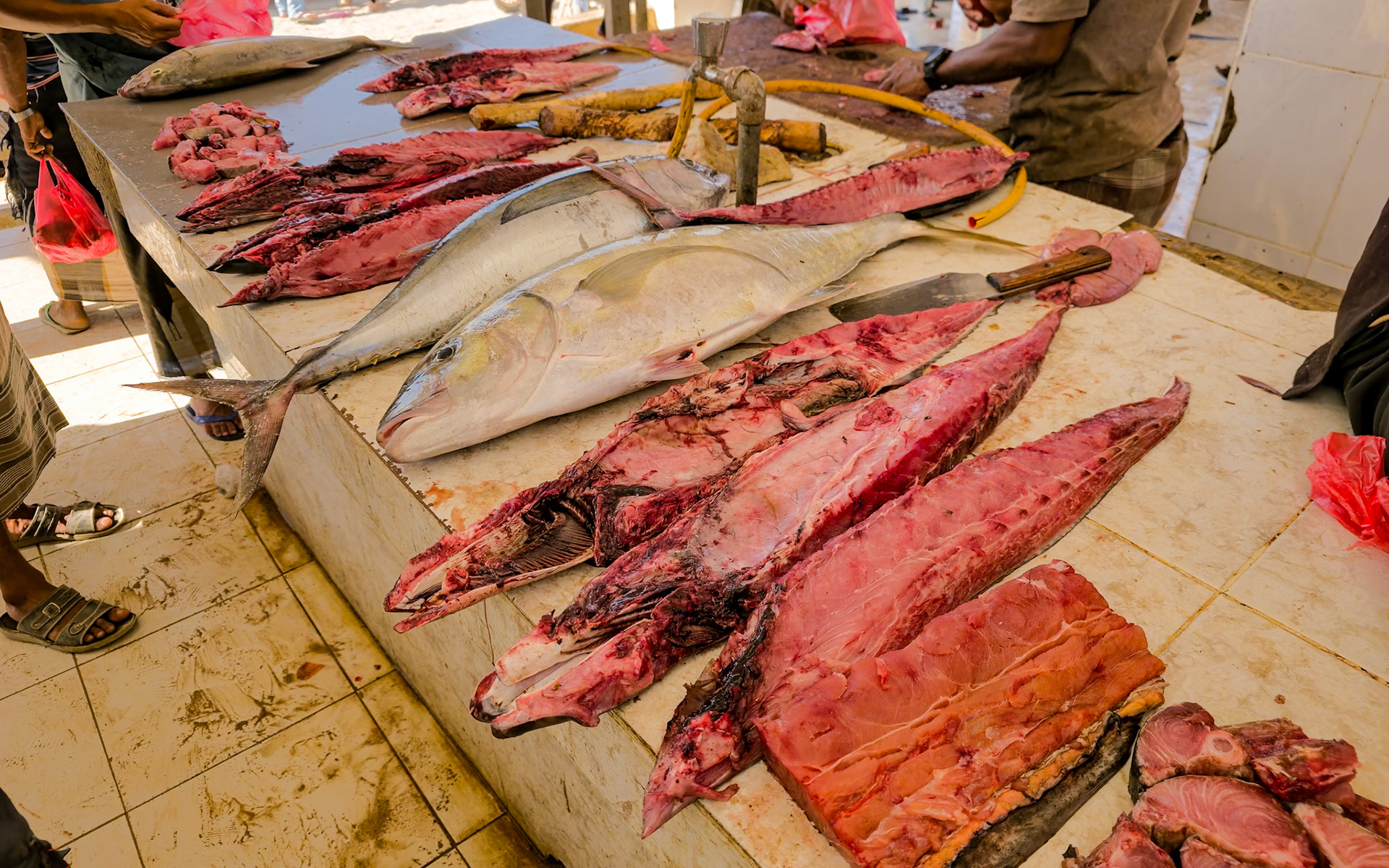 Hadiboh fish market.