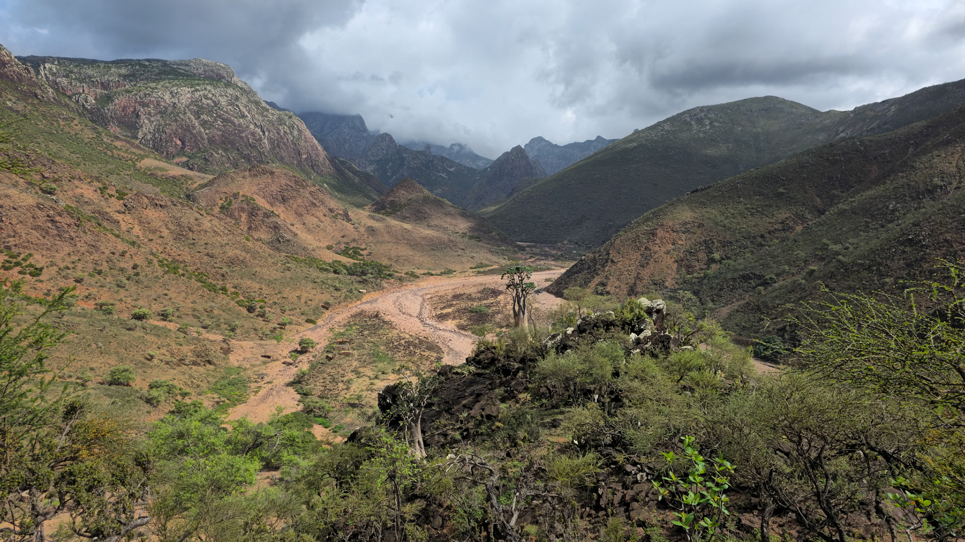 Wadi Dhamdhar Valley