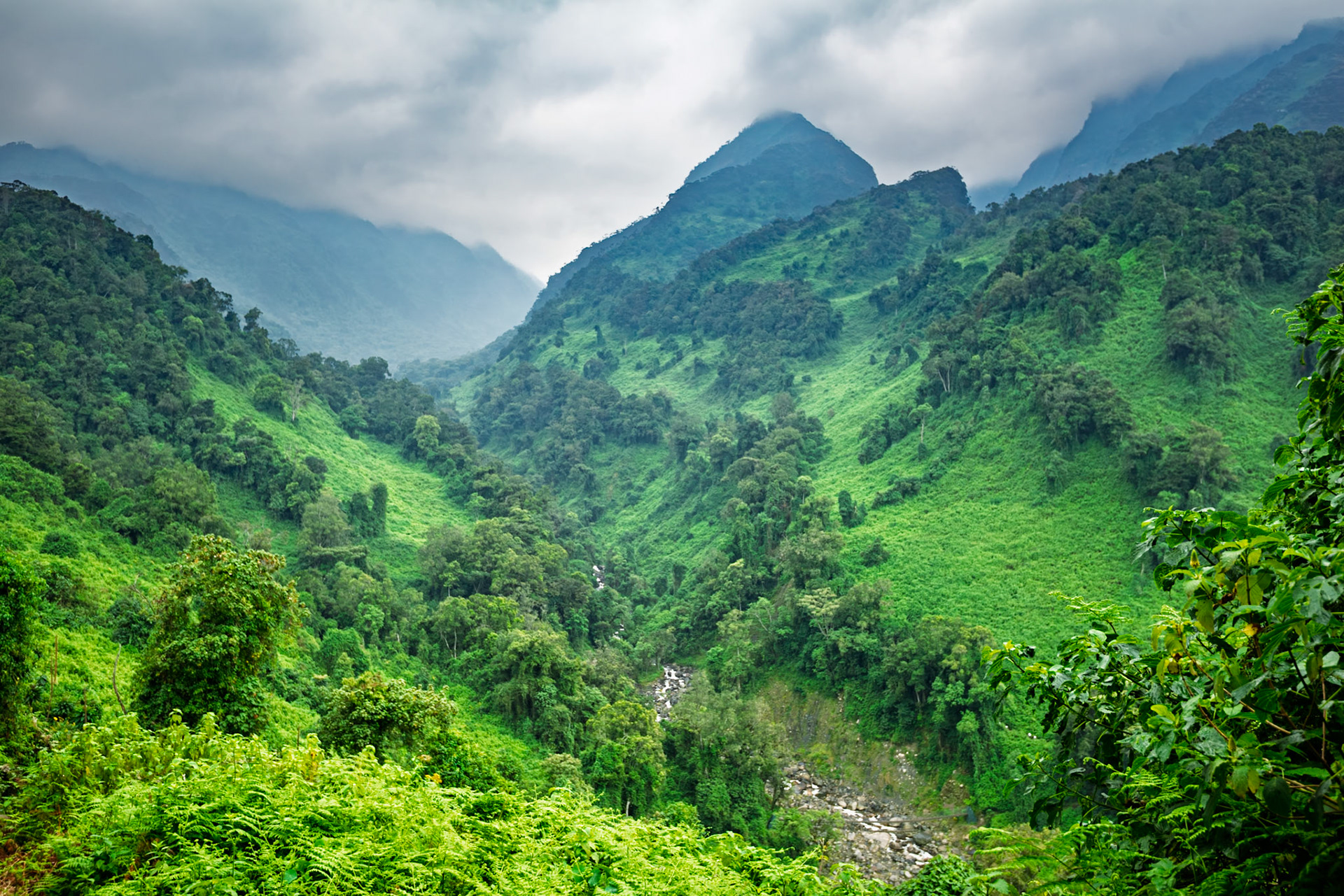| Day 2. Nyabitabe Camp (2.651 m) - John Matte Hut (3.505 m) |  Rwenzori Mountains | Uganda | |  Rwenzori Mountains | Uganda |