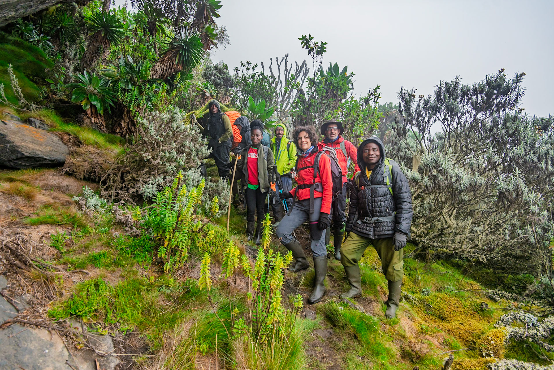 | Day 6. Kitandara Hut (4.023 m) - Guy Yeoman (3.505 m) |  Rwenzori Mountains | Uganda |  Rwenzori Mountains | Uganda |