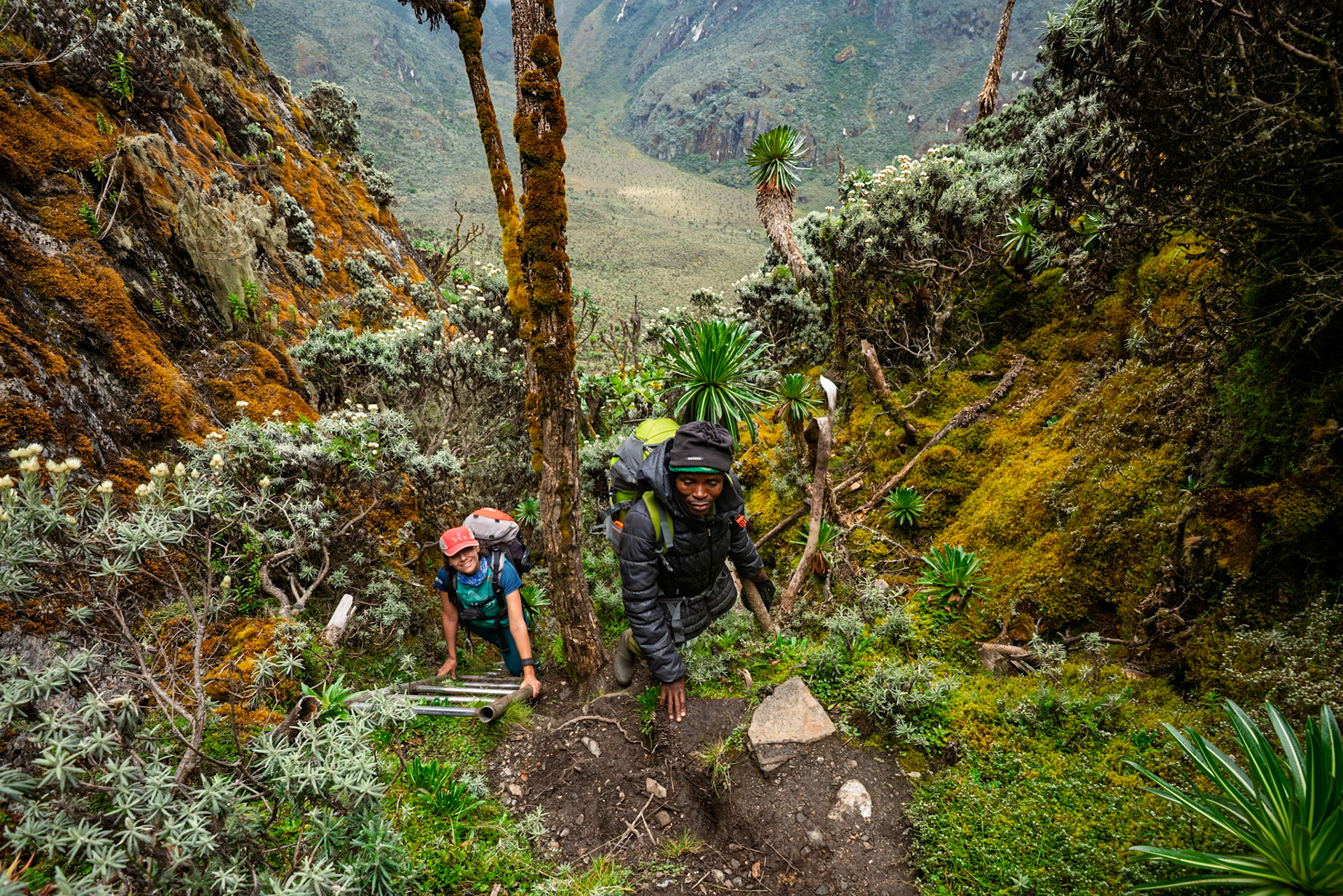 | Day 4. Bujuku Hut (3.977 m) - Elena Hut (4,541 m) |  Rwenzori Mountains | Uganda |  Rwenzori Mountains | Uganda |