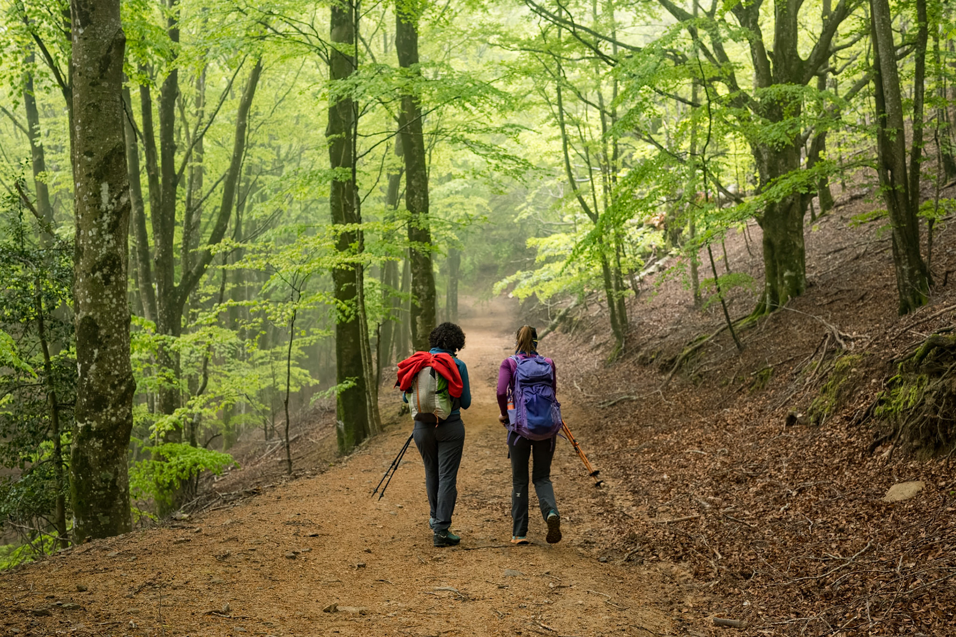 ARP 40. Les Illes - Coll de l'Ullat