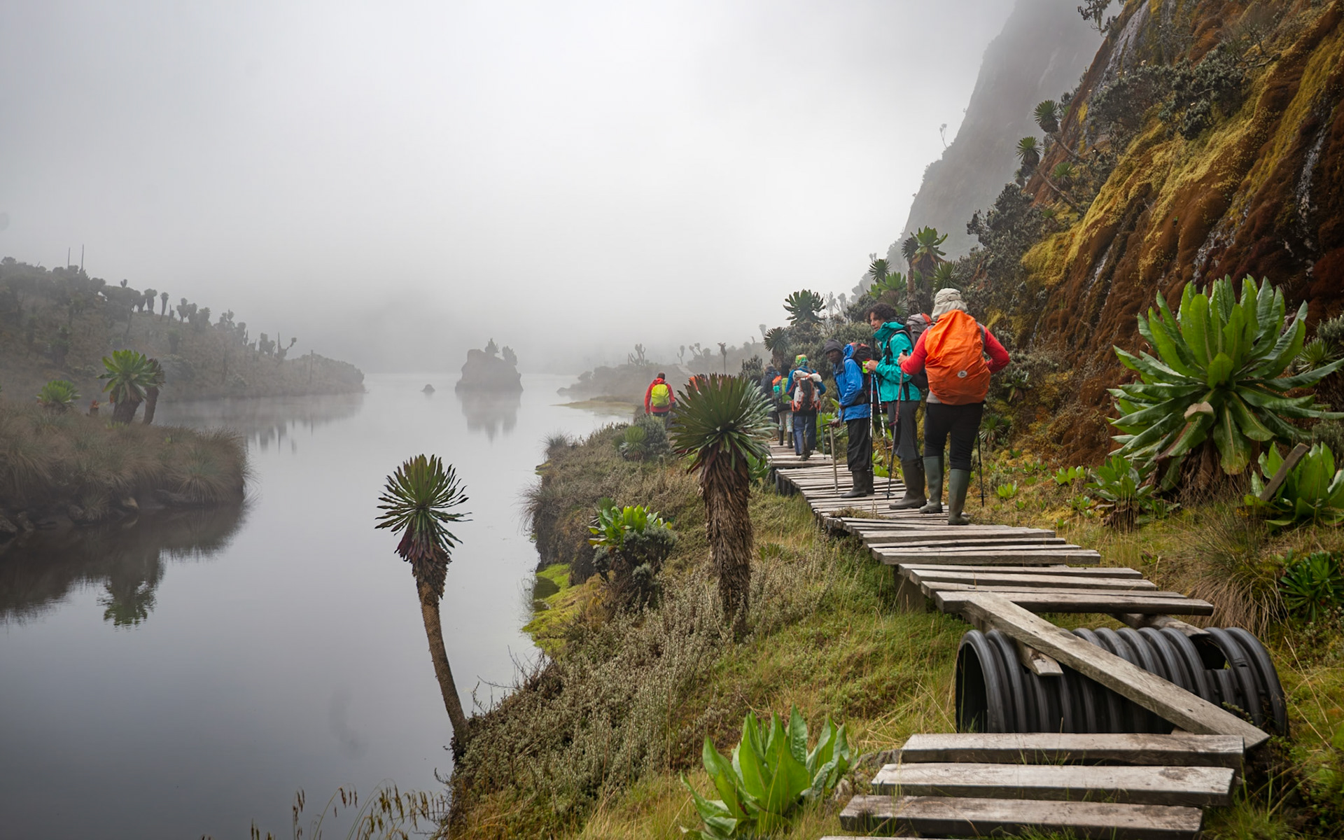 | Day 3. John Matte Hut (3.505 m) - Bujuku Hut (3.977 m) |  Rwenzori Mountains | Uganda | |  Rwenzori Mountains | Uganda |
