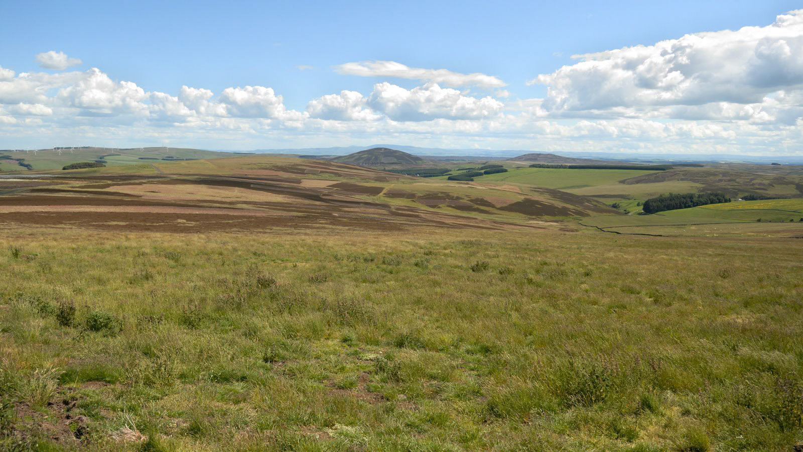 | Scottish Borders | Northumbria | United Kingdom |