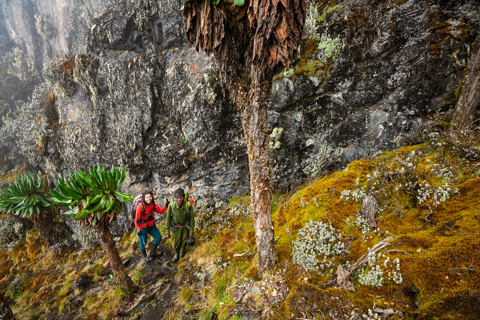 | Day 4. Bujuku Hut (3.977 m) - Elena Hut (4,541 m) |  Rwenzori Mountains | Uganda |  Rwenzori Mountains | Uganda |