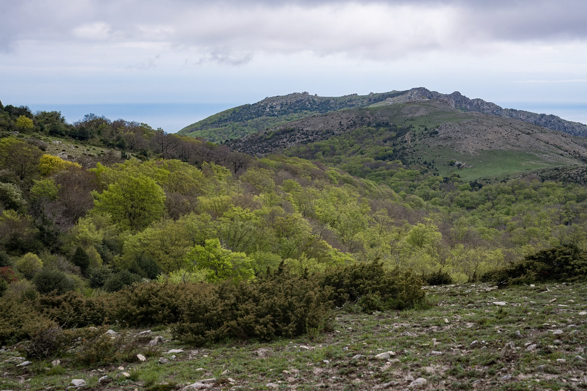 ARP 41.1. Coll de l'Ullat - Coll de Banyuls