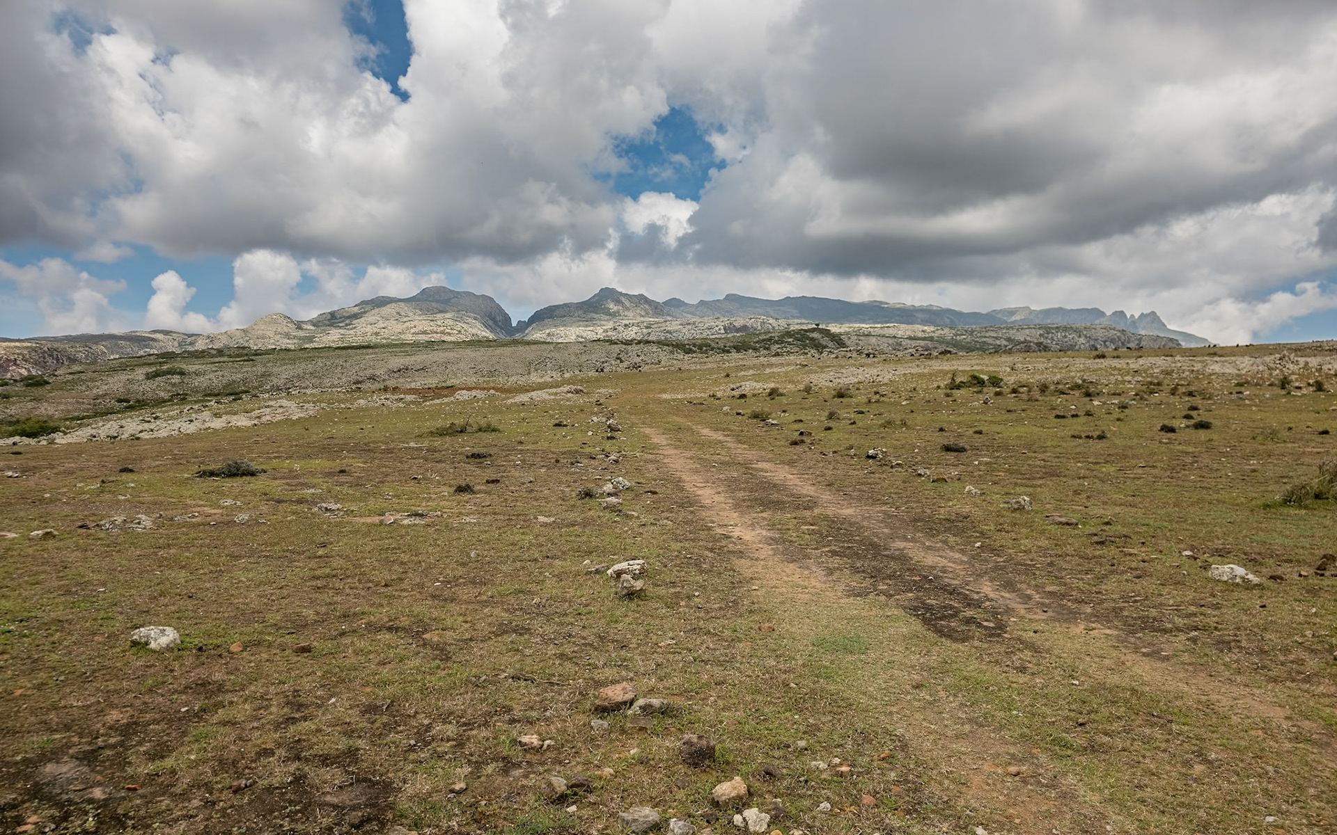Rokeb di Firmihin Highland Plateau