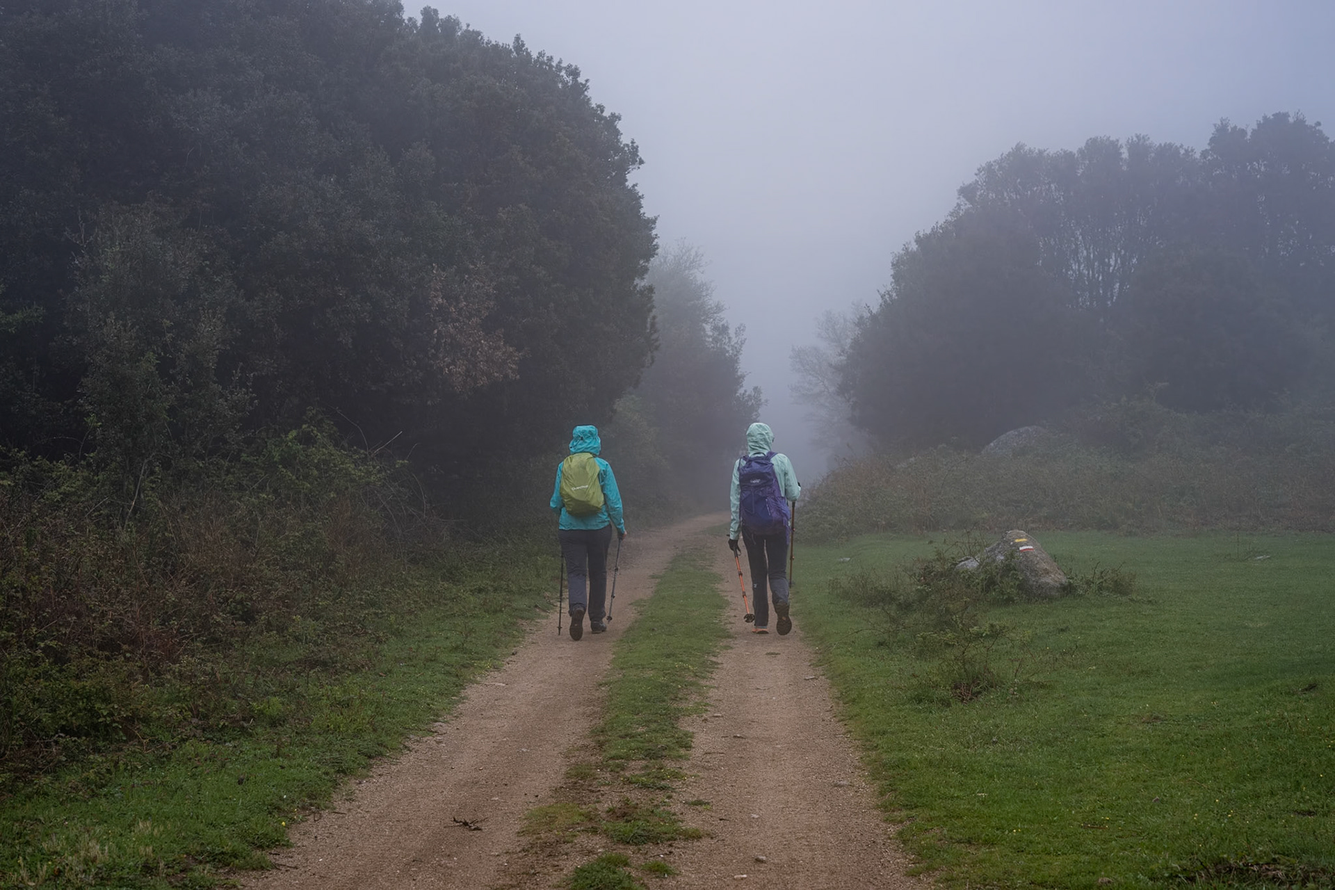 ARP 40. Les Illes - Coll de l'Ullat