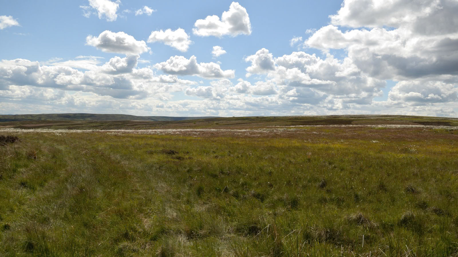 | Scottish Borders | Northumbria | United Kingdom |