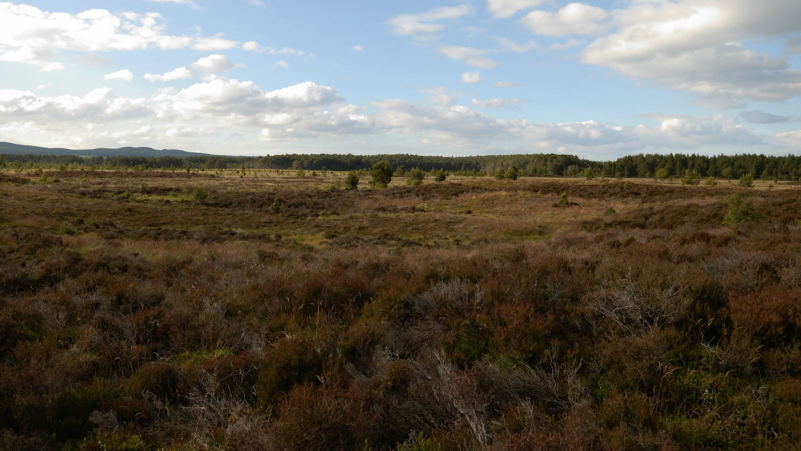 | Cairngorms National Park | Scotland  | United Kingdom |