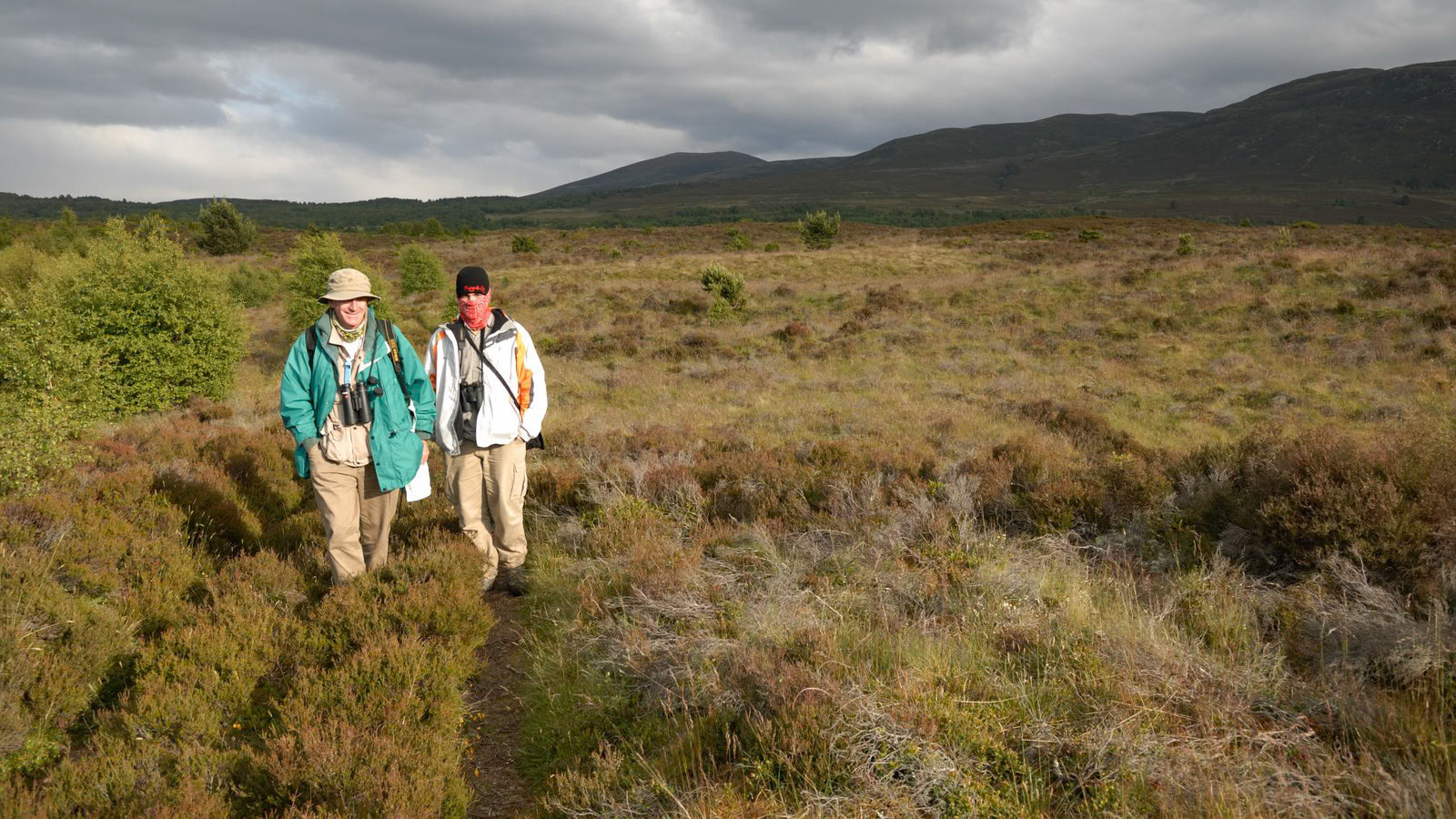 | Cairngorms National Park | Scotland  | United Kingdom |