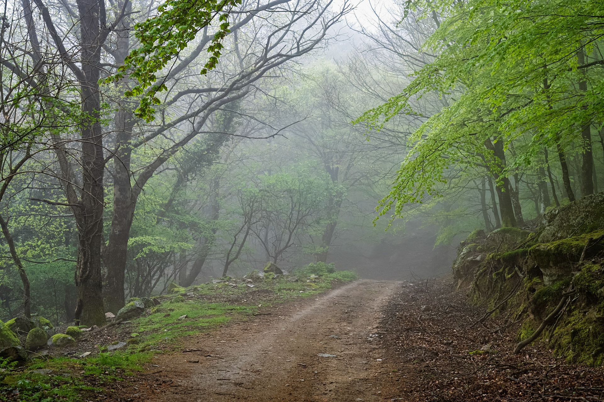 ARP 40. Les Illes - Coll de l'Ullat