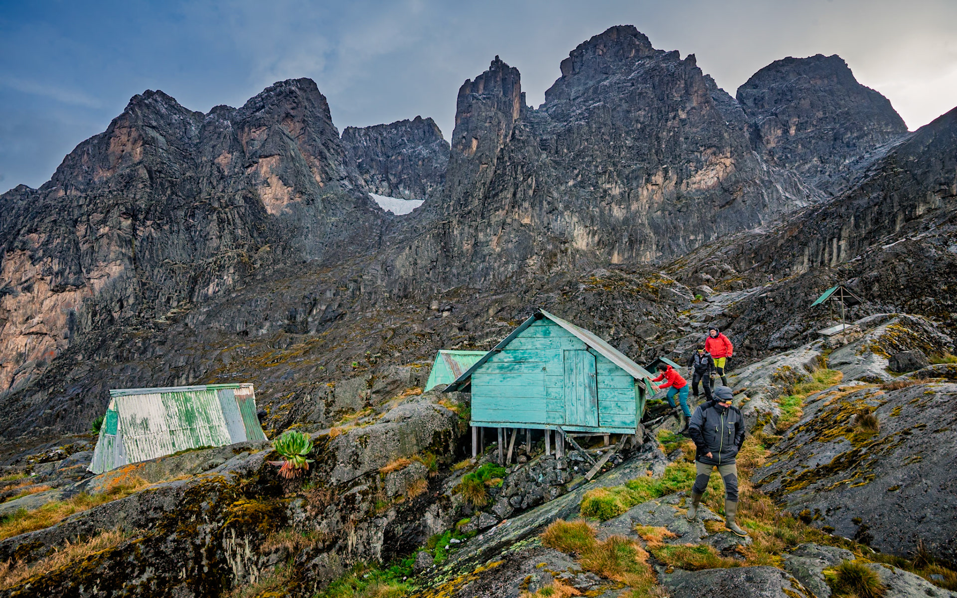 | Day 4. Bujuku Hut (3.977 m) - Elena Hut (4,541 m) |  Rwenzori Mountains | Uganda |  Rwenzori Mountains | Uganda |