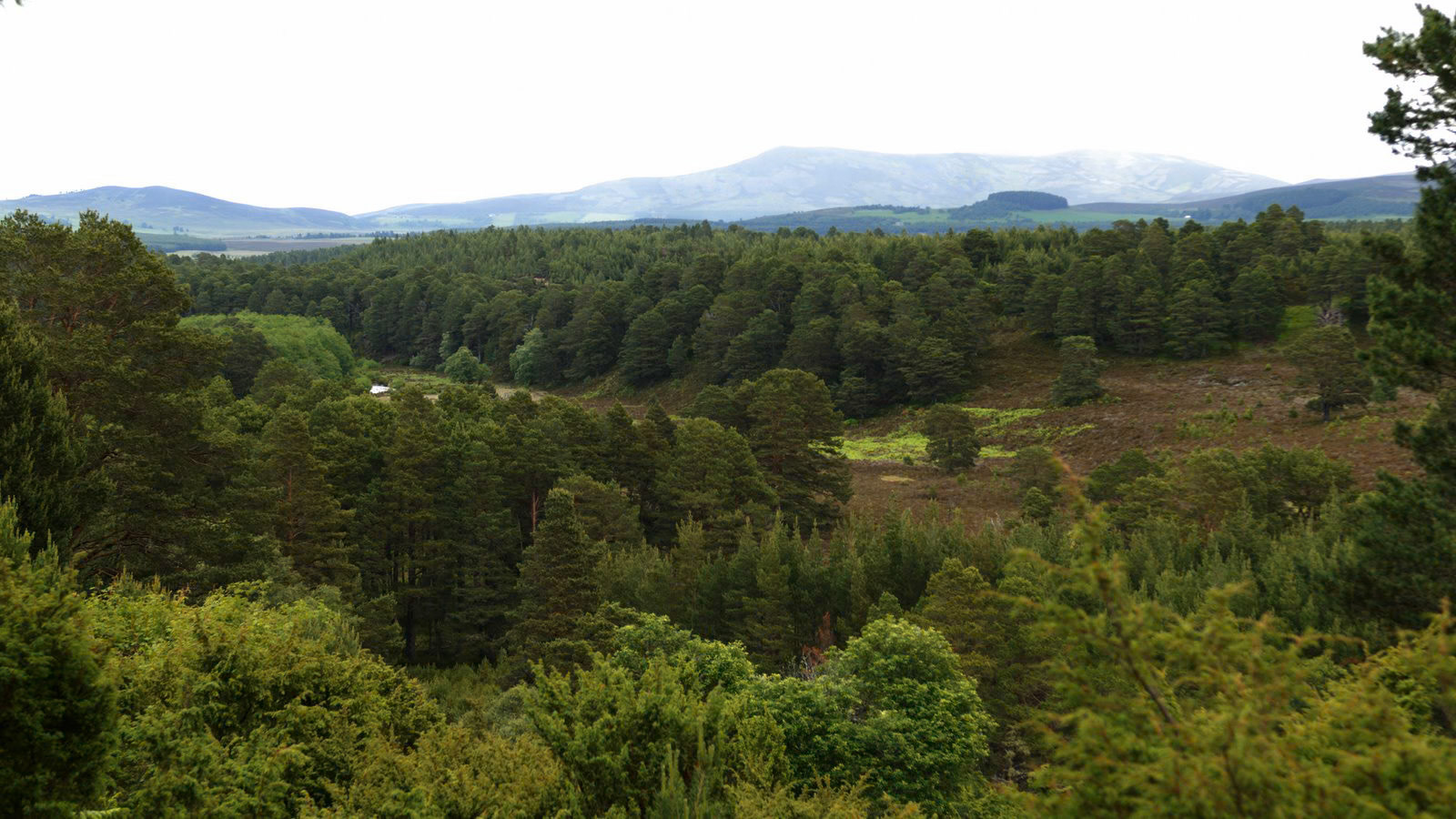 | Cairngorms National Park | Scotland  | United Kingdom |