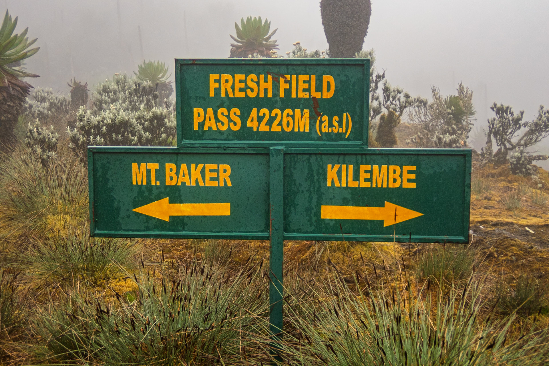 | Day 6. Kitandara Hut (4.023 m) - Guy Yeoman (3.505 m) |  Rwenzori Mountains | Uganda |  Rwenzori Mountains | Uganda |