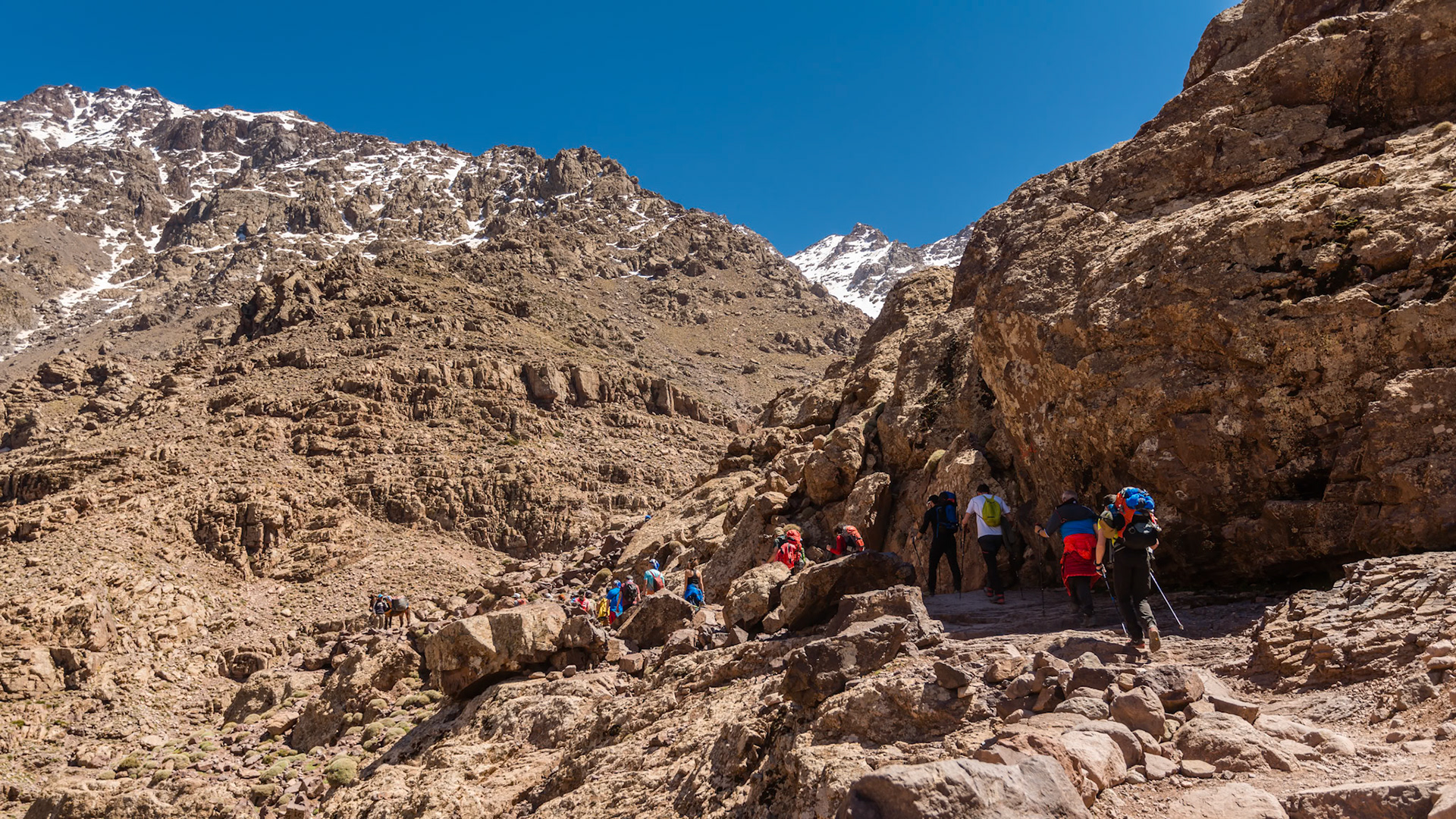 | Imlil - Refuge du Toubkal | High Atlas | Morocco |