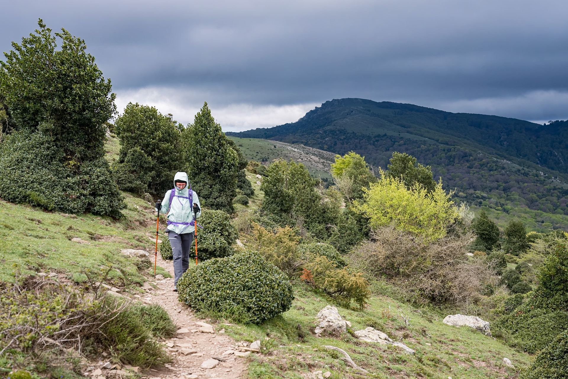 ARP 41.1. Coll de l'Ullat - Coll de Banyuls