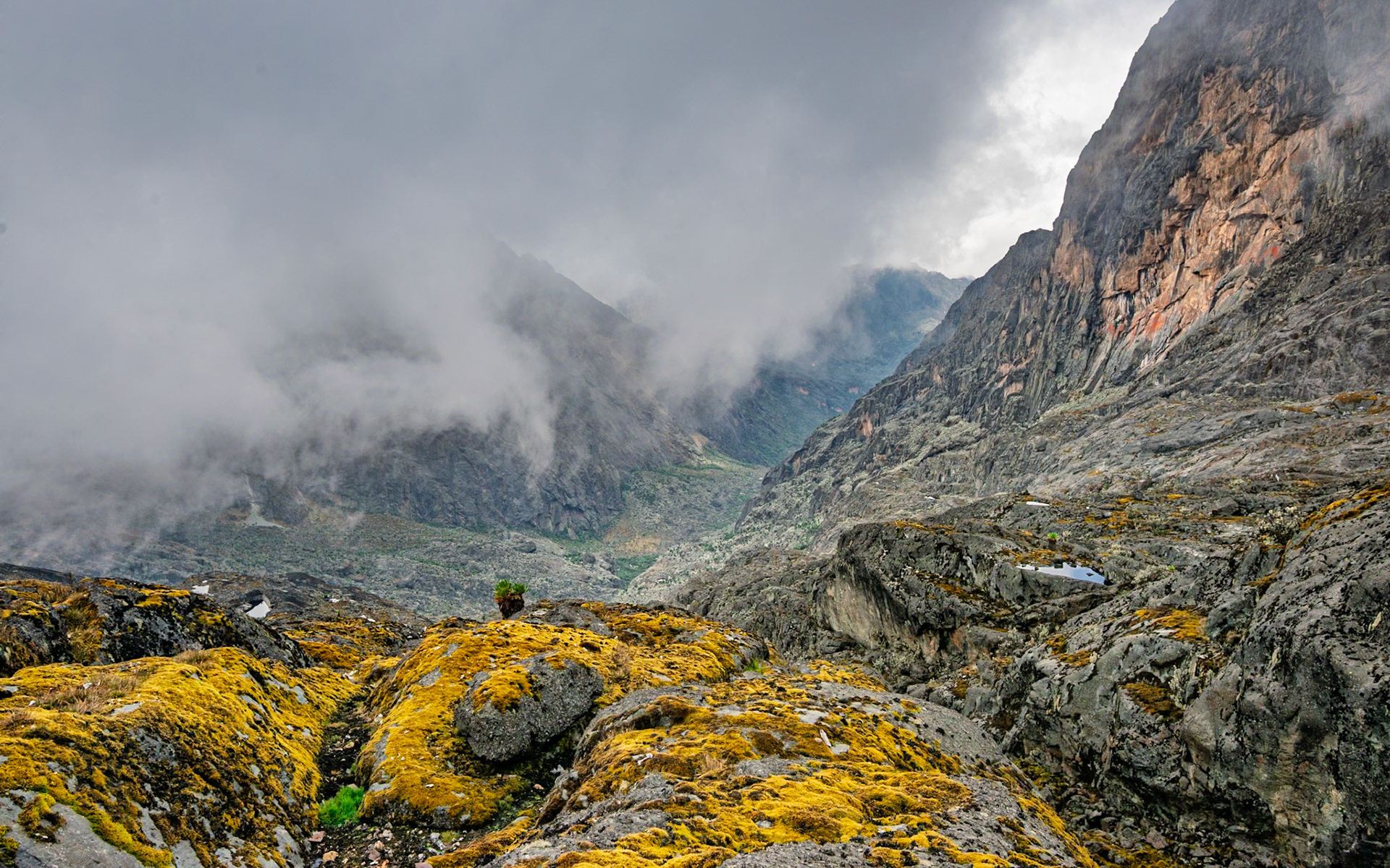 | Day 4. Bujuku Hut (3.977 m) - Elena Hut (4,541 m) |  Rwenzori Mountains | Uganda |  Rwenzori Mountains | Uganda |