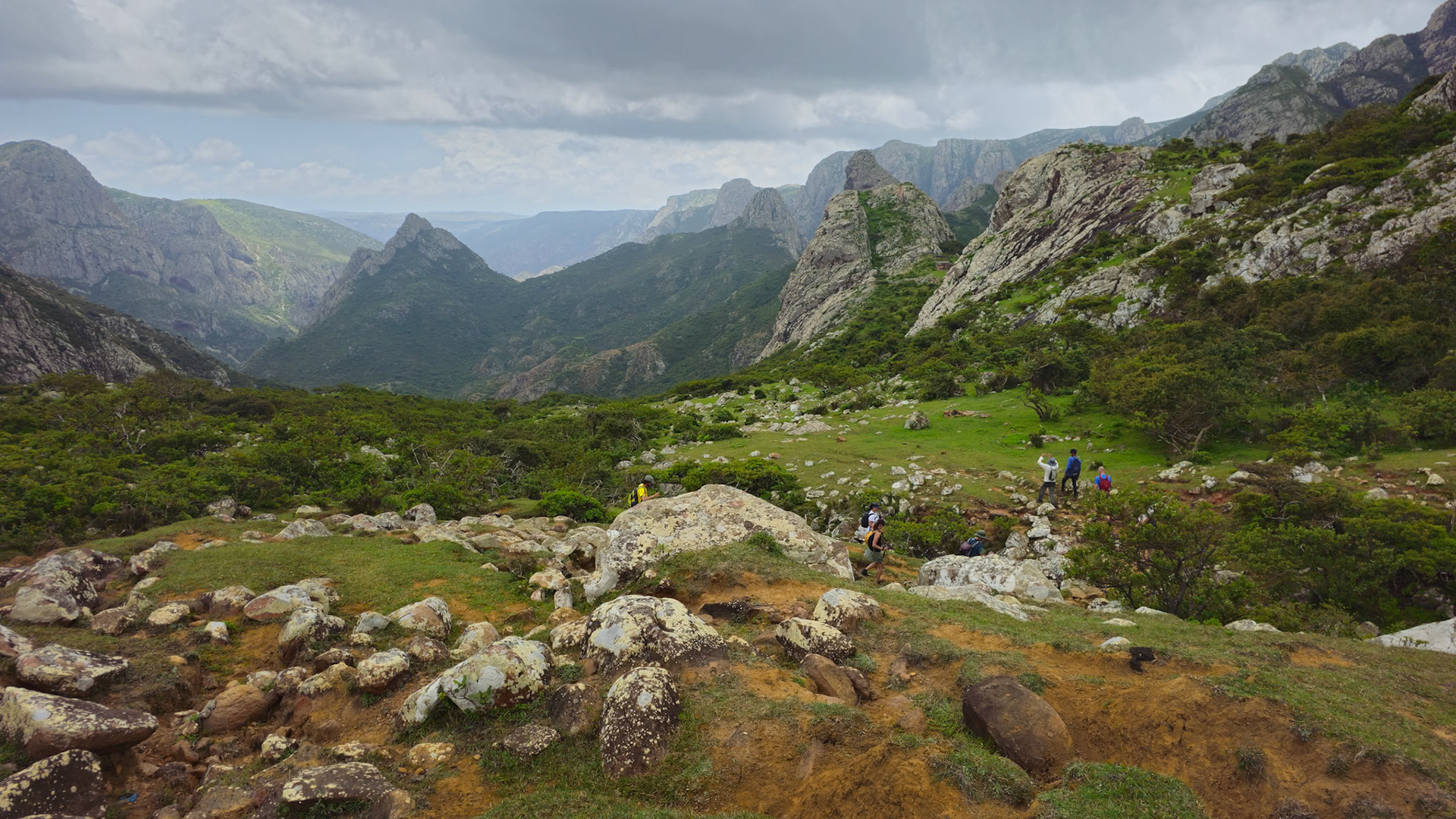 | Socotra  Oct '24 | Day 4 | October 10th | Mount Haggeher Trek | Adho di Meleh - Wadi Dhamdhar |