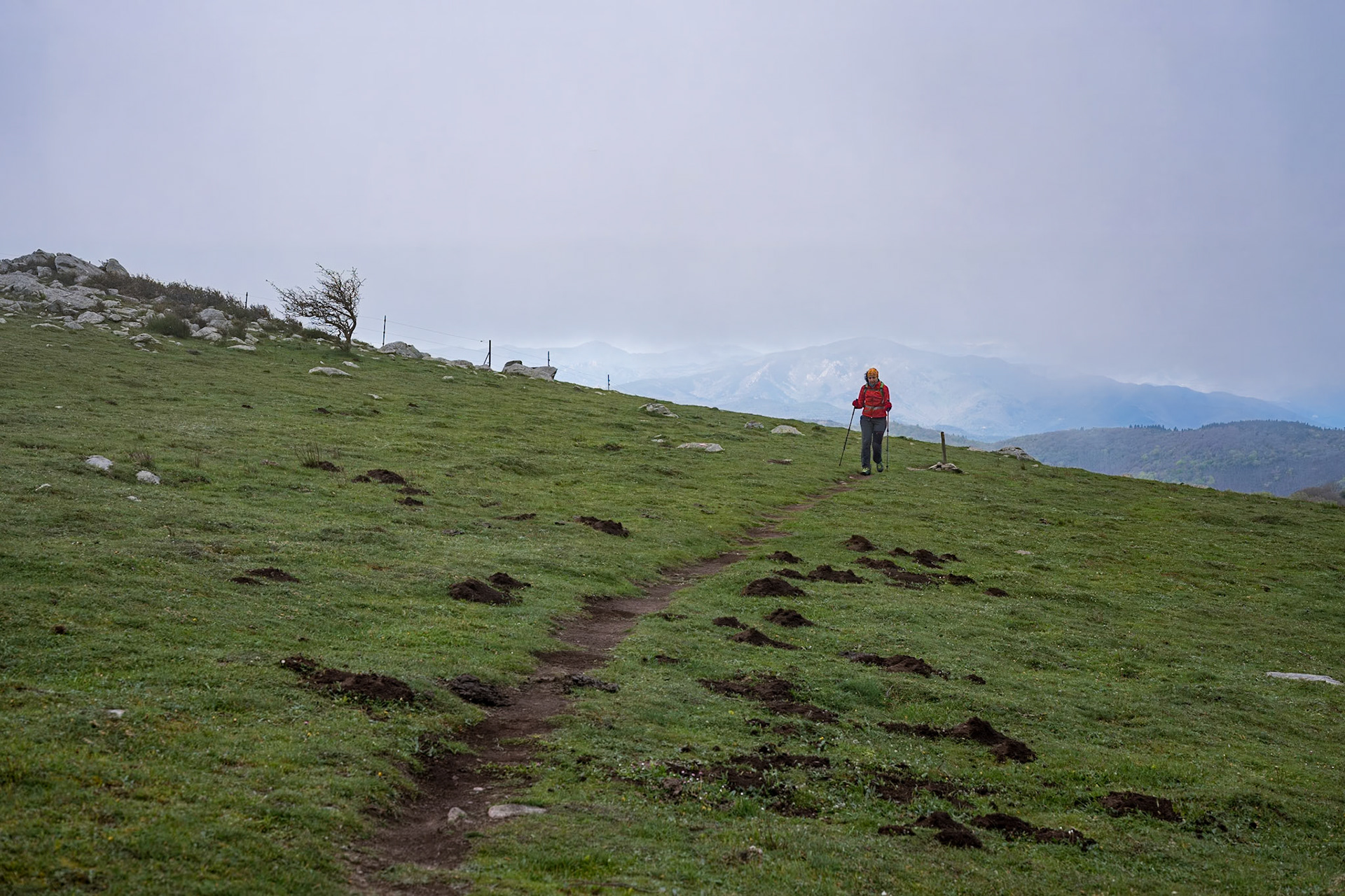 ARP 41.1. Coll de l'Ullat - Coll de Banyuls