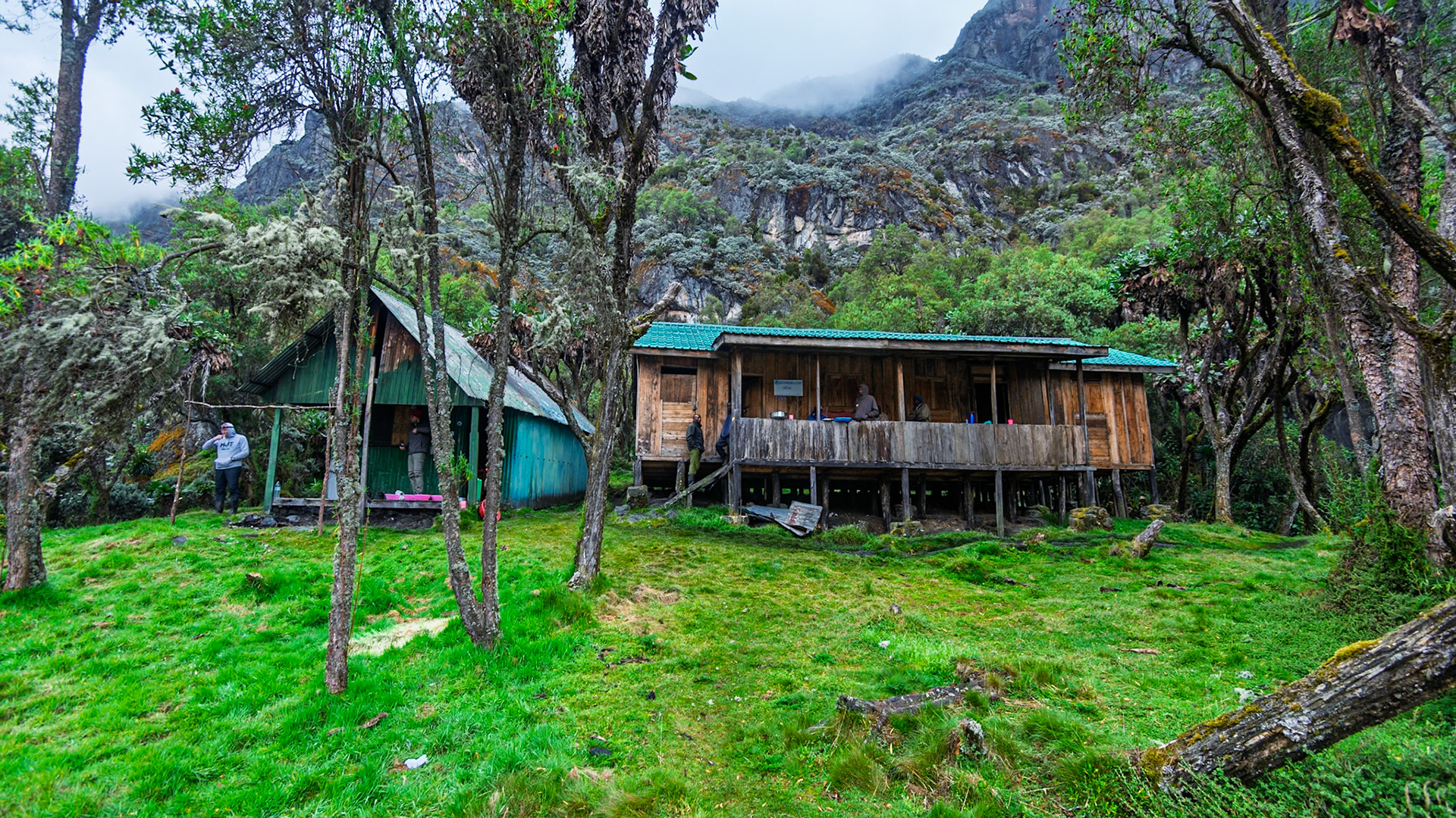 | Day 5. Elena Hut (4,541 m) - Margherita Peak (5.109 m) - Kitandara Hut (4.023 m)  |  Rwenzori Mountains | Uganda |  Rwenzori Mountains | Uganda |