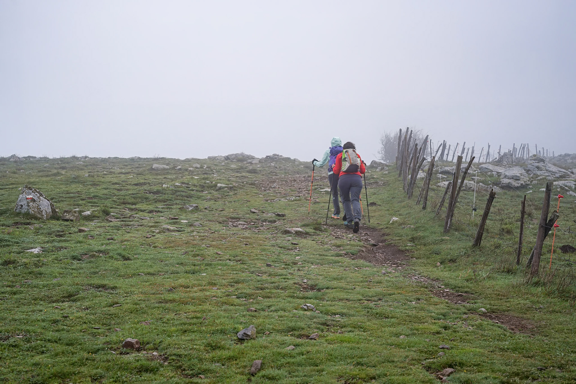 ARP 41.1. Coll de l'Ullat - Coll de Banyuls