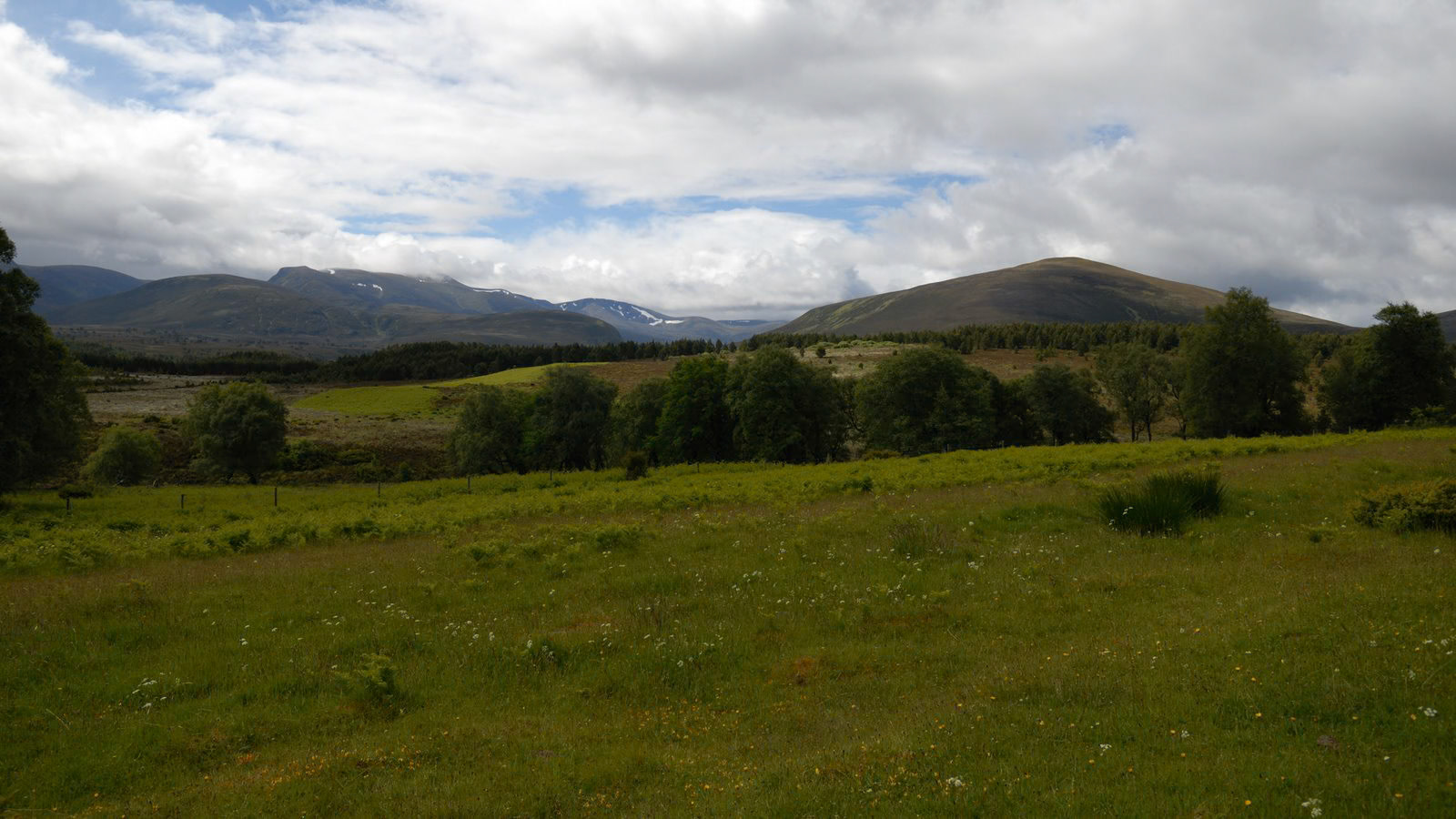 | Cairngorms National Park | Scotland  | United Kingdom |