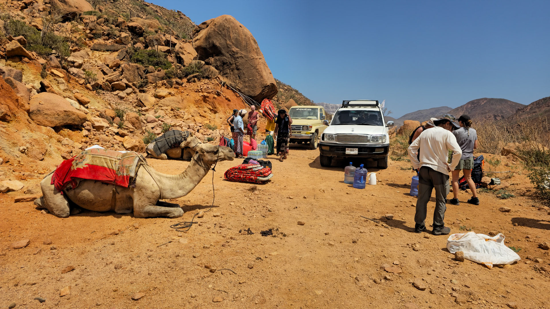 Prepping the camels for the trek