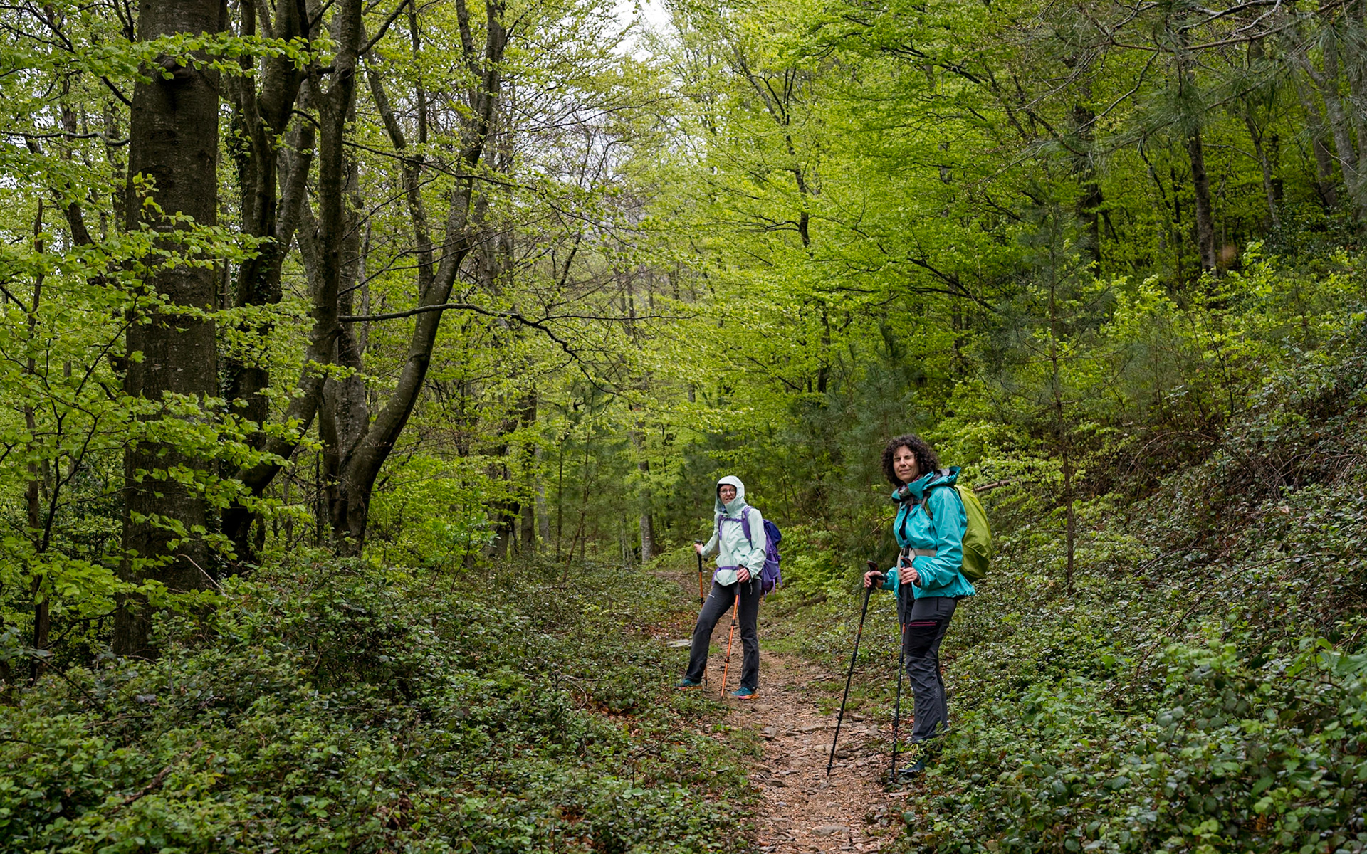 ARP 40. Les Illes - Coll de l'Ullat