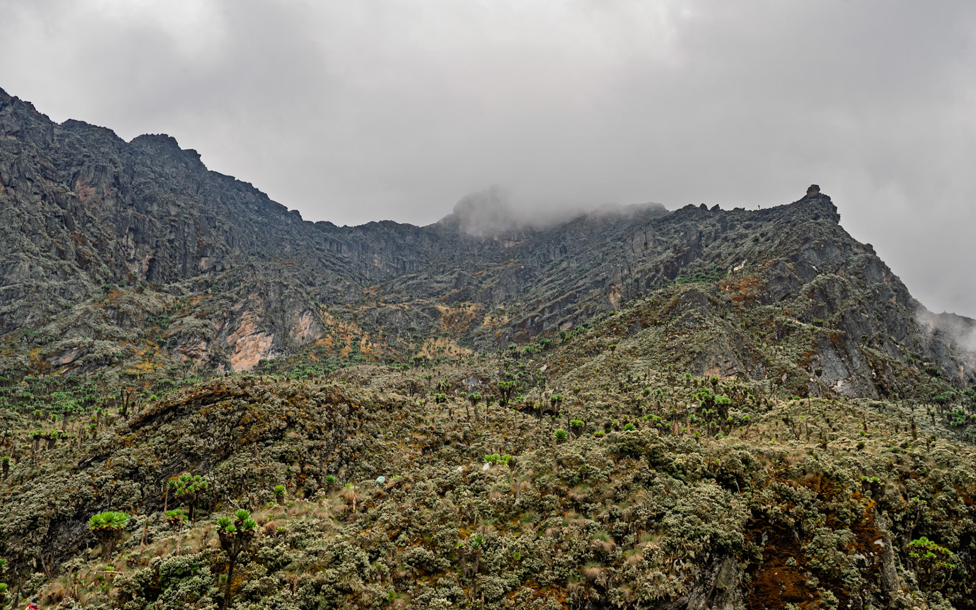 | Day 4. Bujuku Hut (3.977 m) - Elena Hut (4,541 m) |  Rwenzori Mountains | Uganda |  Rwenzori Mountains | Uganda |