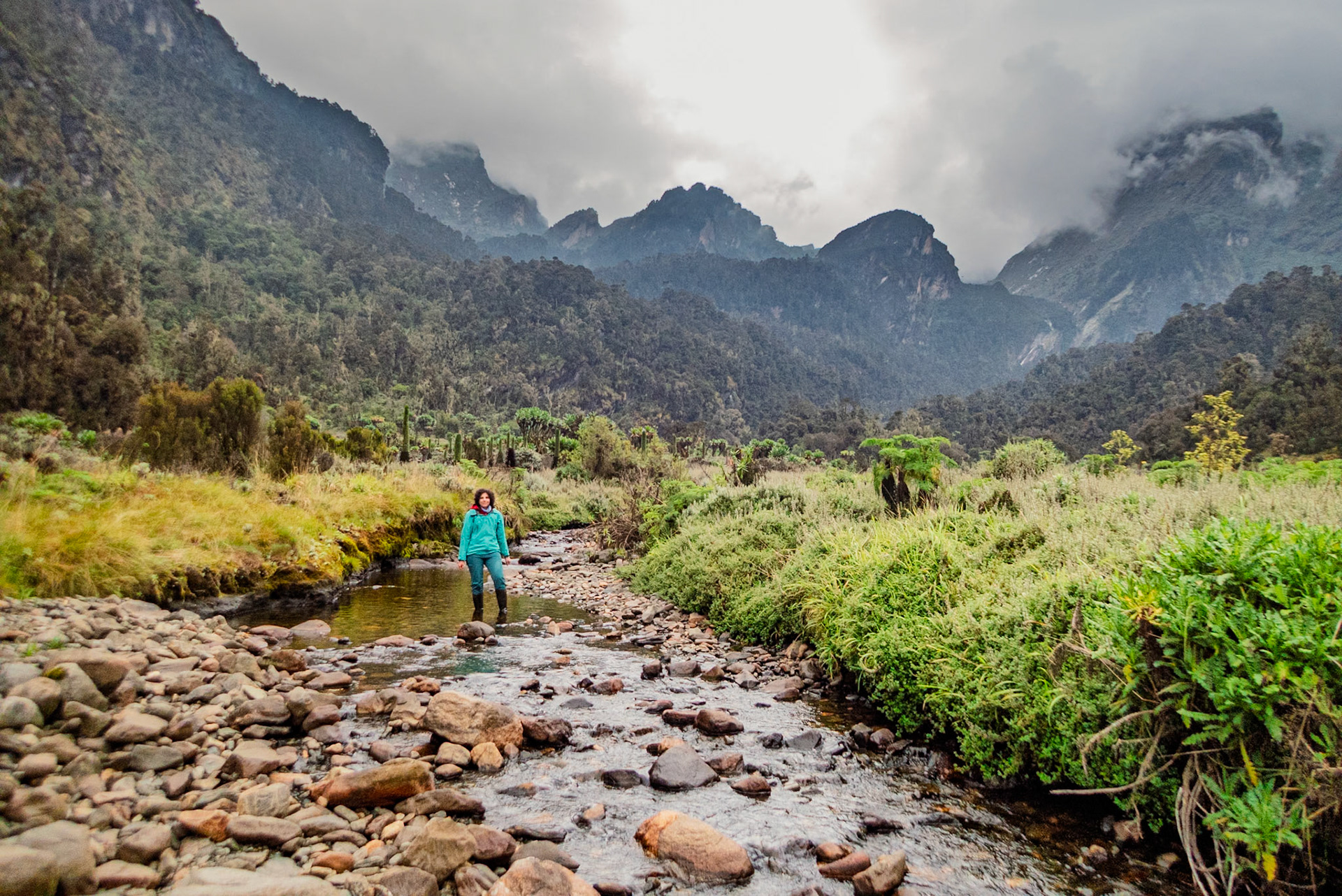 | Day 6. Kitandara Hut (4.023 m) - Guy Yeoman (3.505 m) |  Rwenzori Mountains | Uganda |  Rwenzori Mountains | Uganda |
