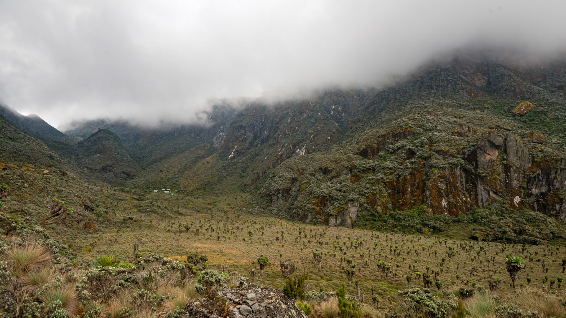 | Day 4. Bujuku Hut (3.977 m) - Elena Hut (4,541 m) |  Rwenzori Mountains | Uganda |  Rwenzori Mountains | Uganda |