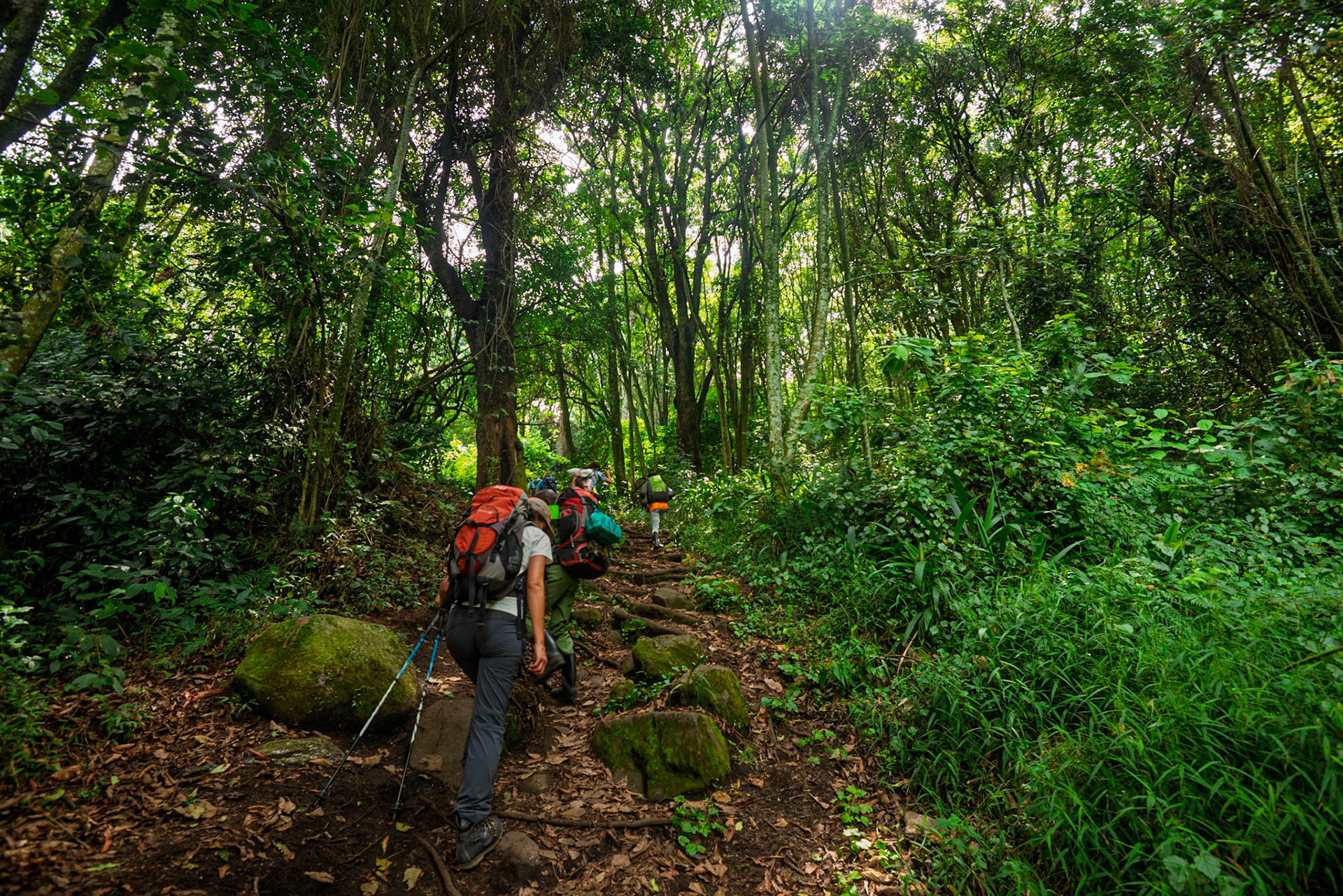 |  Rwenzori Mountains | Uganda |