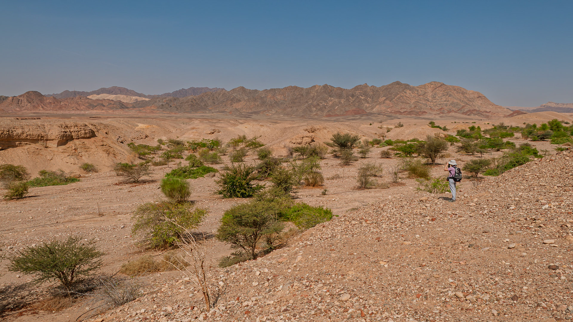 | Holland Park | Eilat | Israel |
