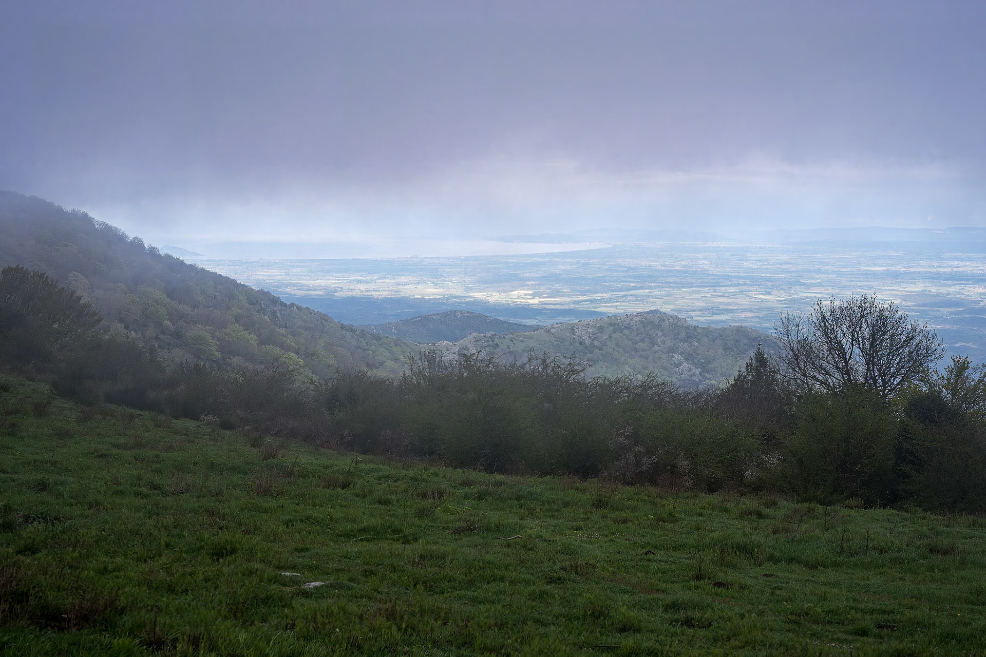 ARP 41.1. Coll de l'Ullat - Coll de Banyuls