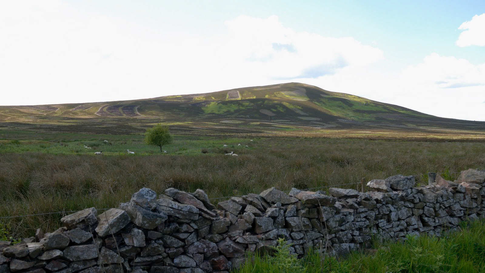 | Scottish Borders | Northumbria | United Kingdom |