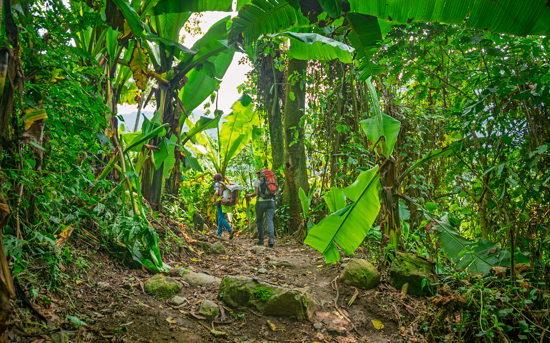 |  Rwenzori Mountains | Uganda |