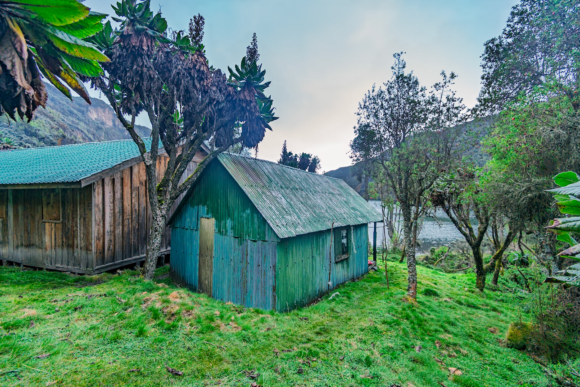 | Day 5. Elena Hut (4,541 m) - Margherita Peak (5.109 m) - Kitandara Hut (4.023 m)  |  Rwenzori Mountains | Uganda |  Rwenzori Mountains | Uganda |
