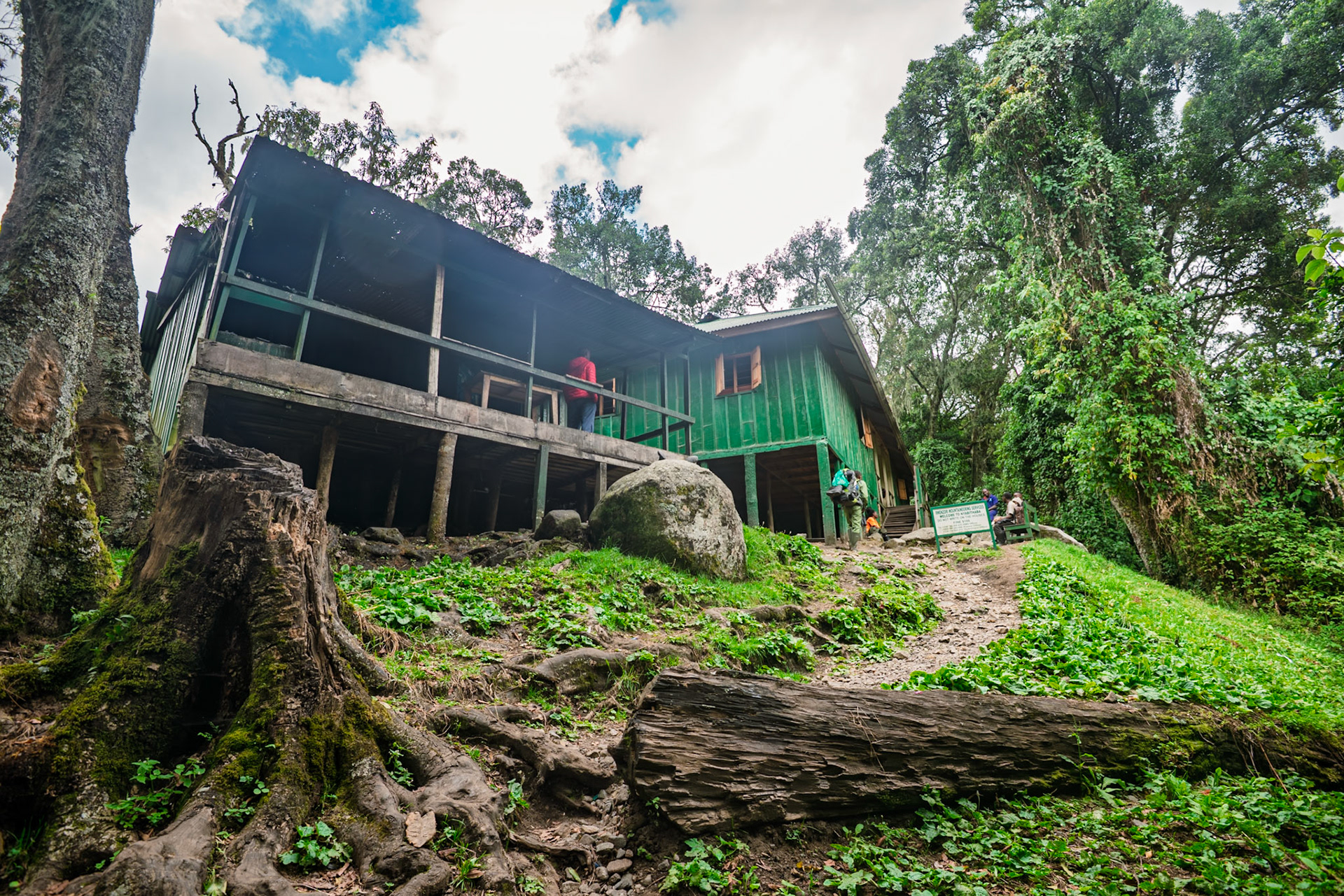 |  Rwenzori Mountains | Uganda |