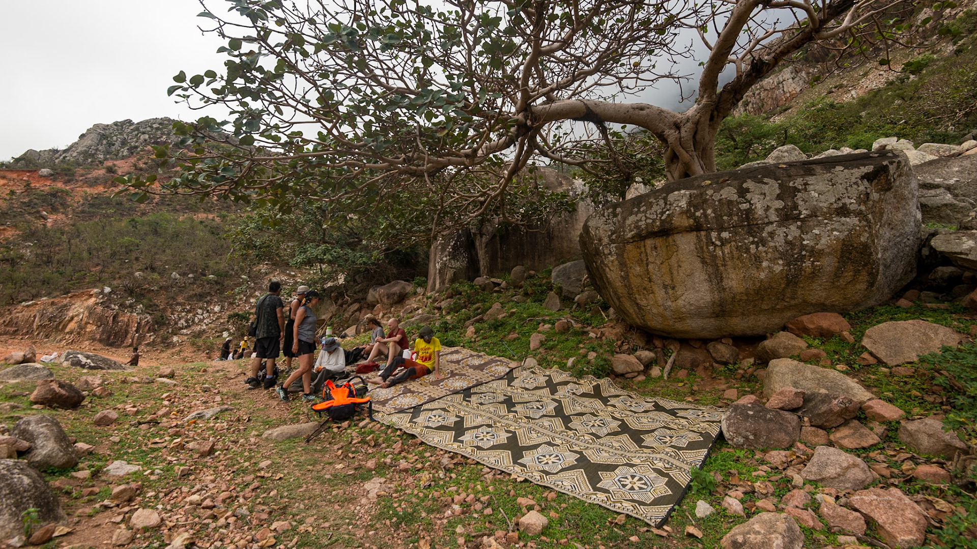 Following the Wadi di Negehen on the way up to Adho di Meleh. Lunch time! From now one, the landscape turns from arid to afrotropical. Spectacular change of scenery!