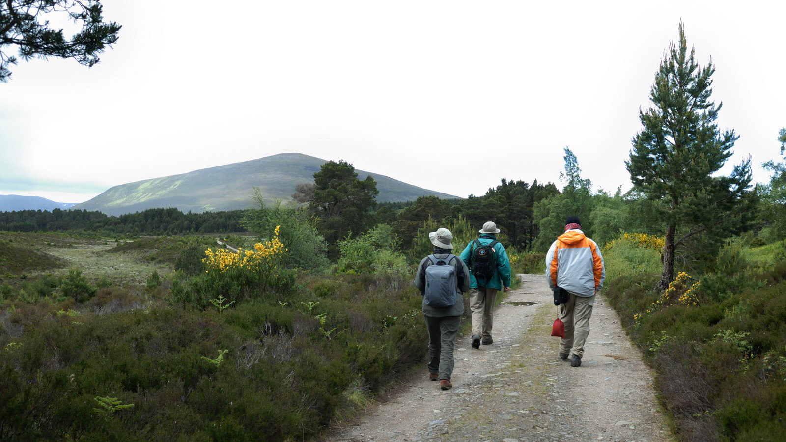 | Cairngorms National Park | Scotland  | United Kingdom |