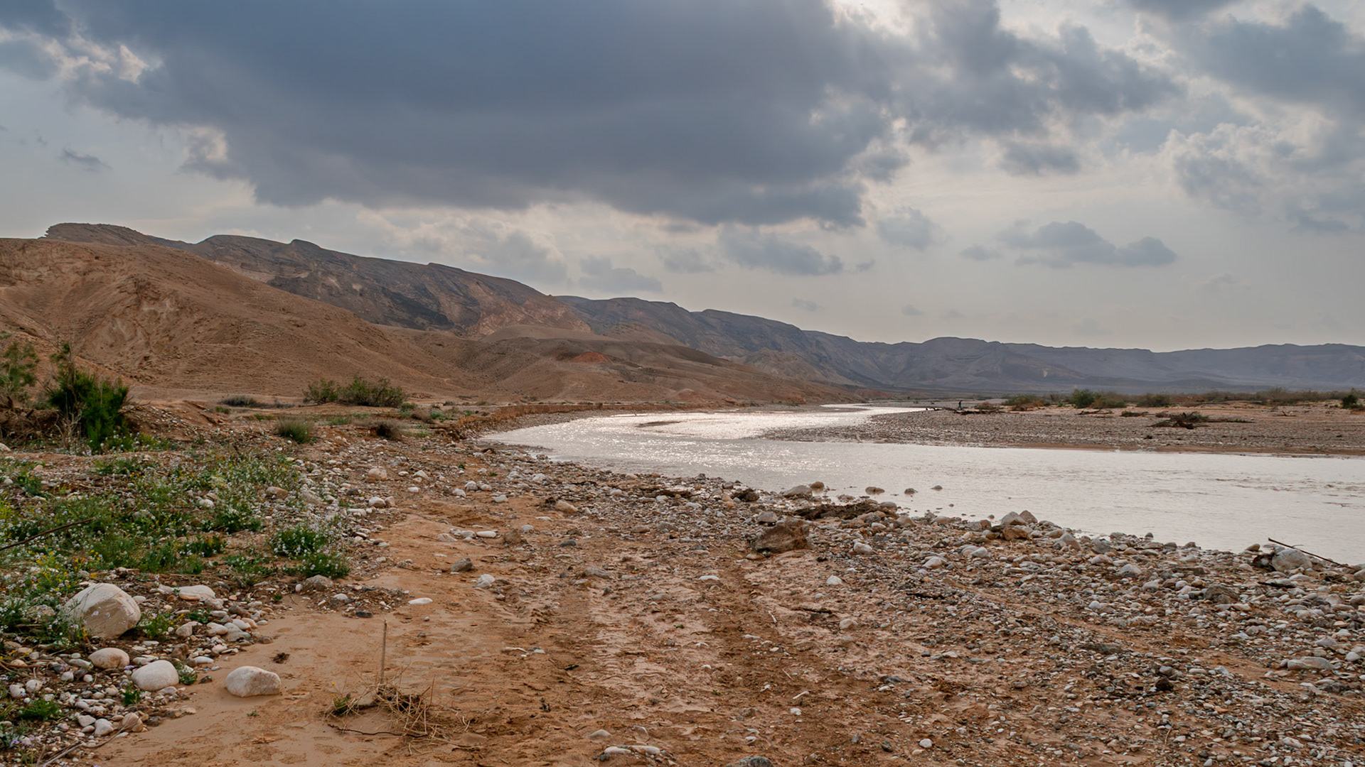 | Negev Desert | Israel |